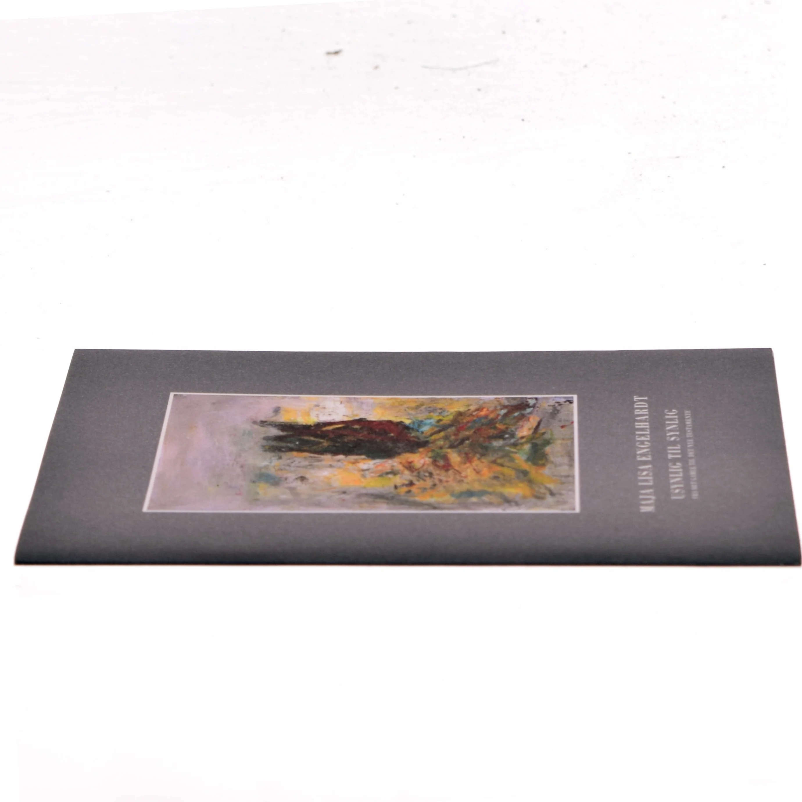 Usynlig til Synlig af Maja Lisa Engelhardt (Bog)