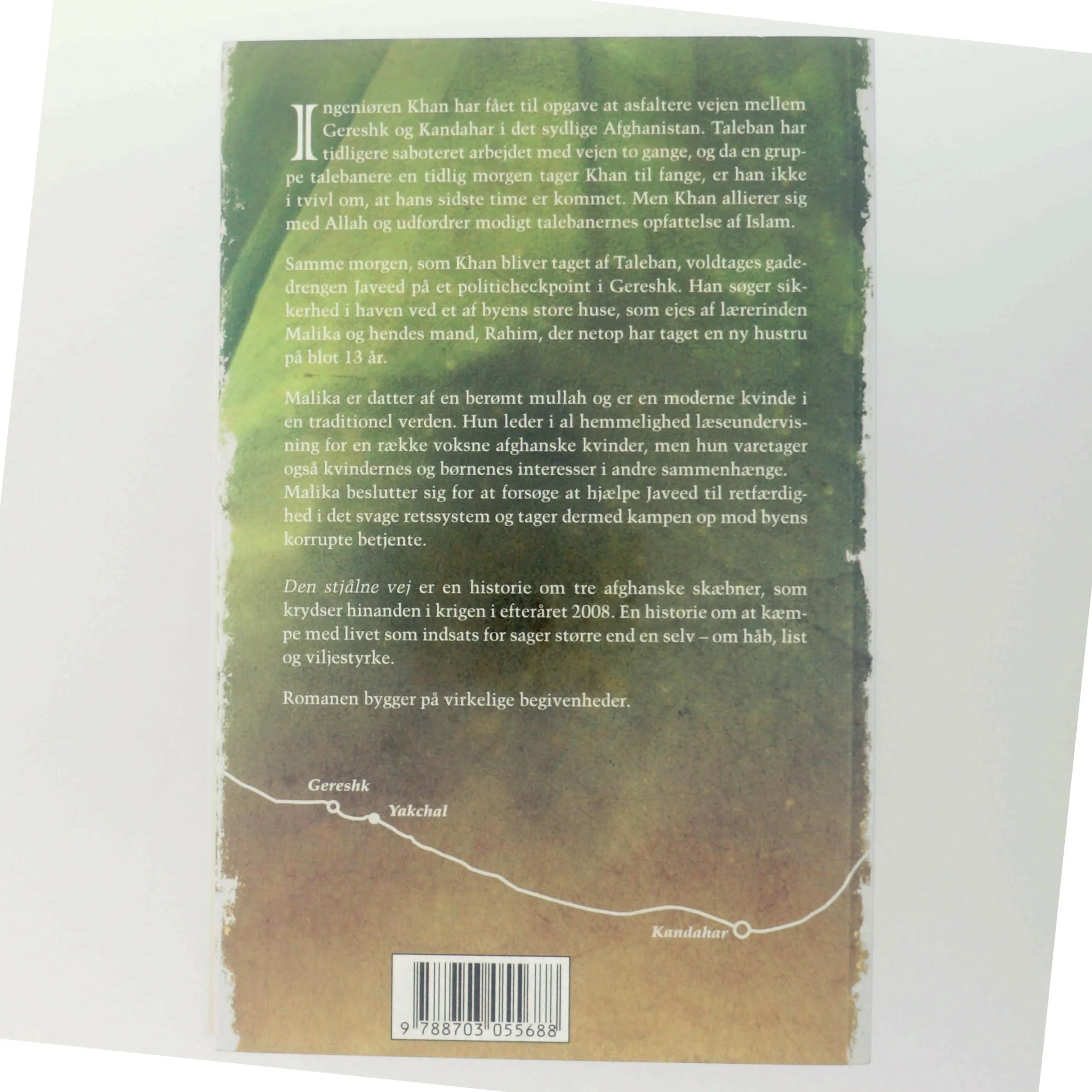 Den stjålne vej af Anne-Cathrine Riebnitzsky (Bog)