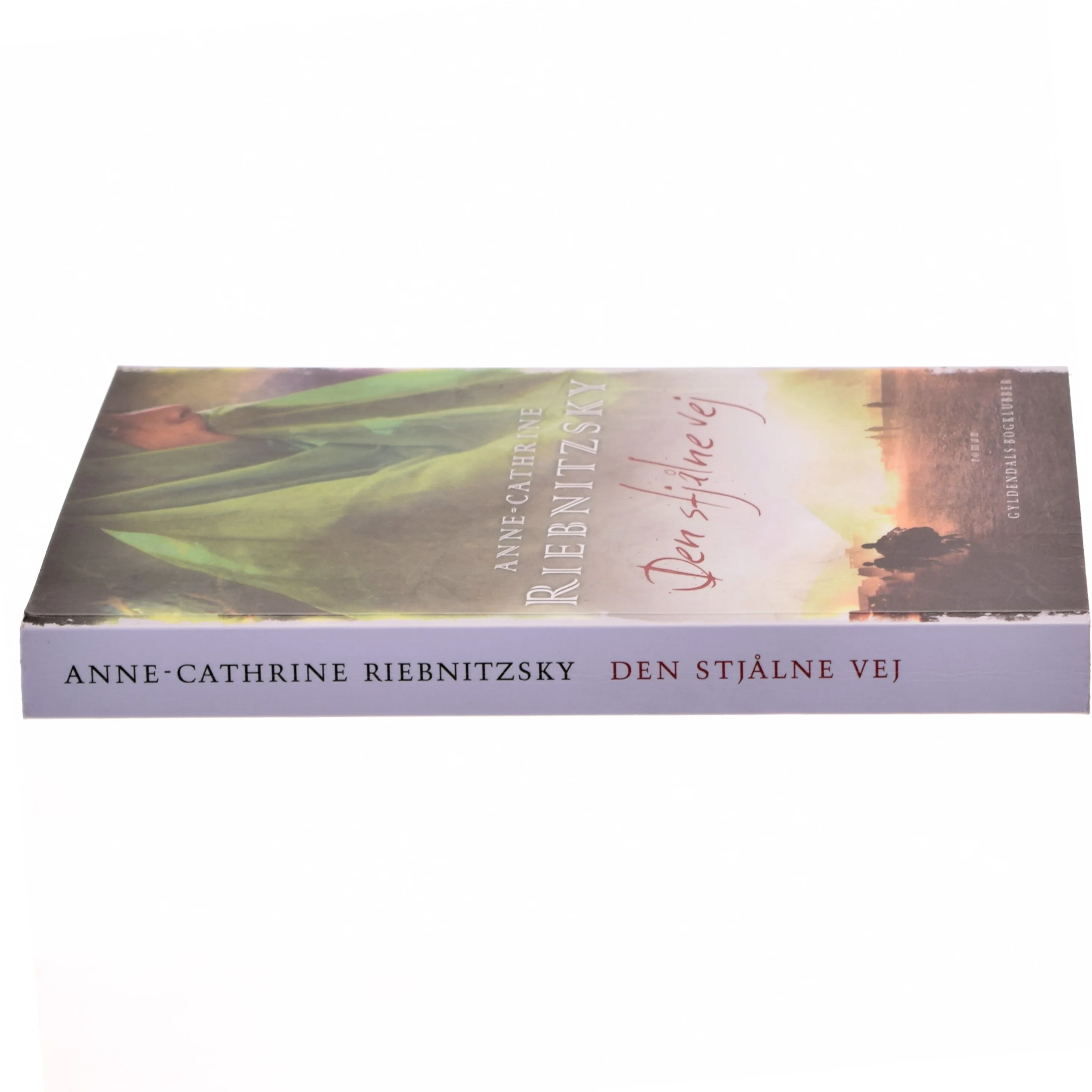 Den stjålne vej af Anne-Cathrine Riebnitzsky (Bog)