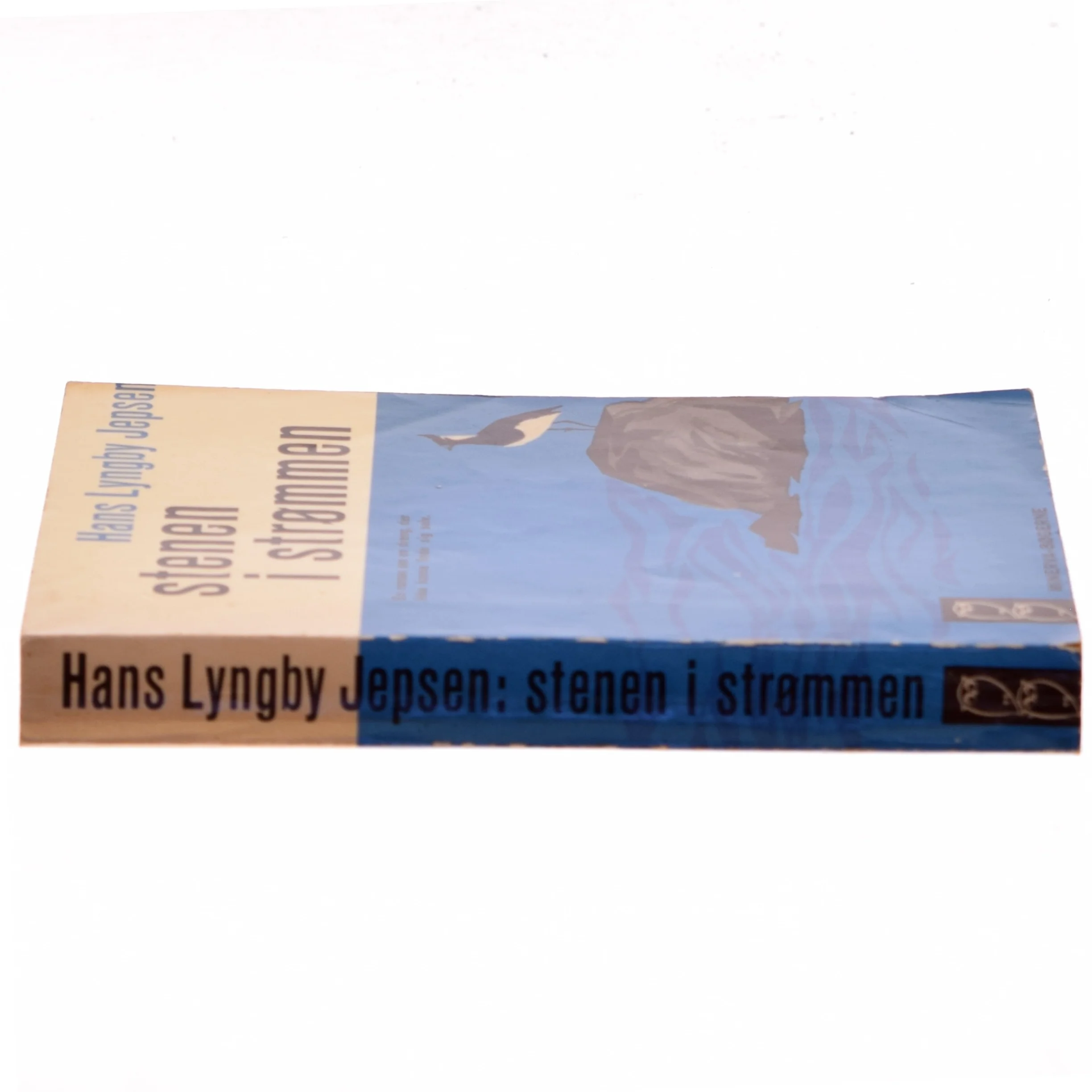 Stenen i Strømmen af Hans Lyngby Jepsen (Bog)