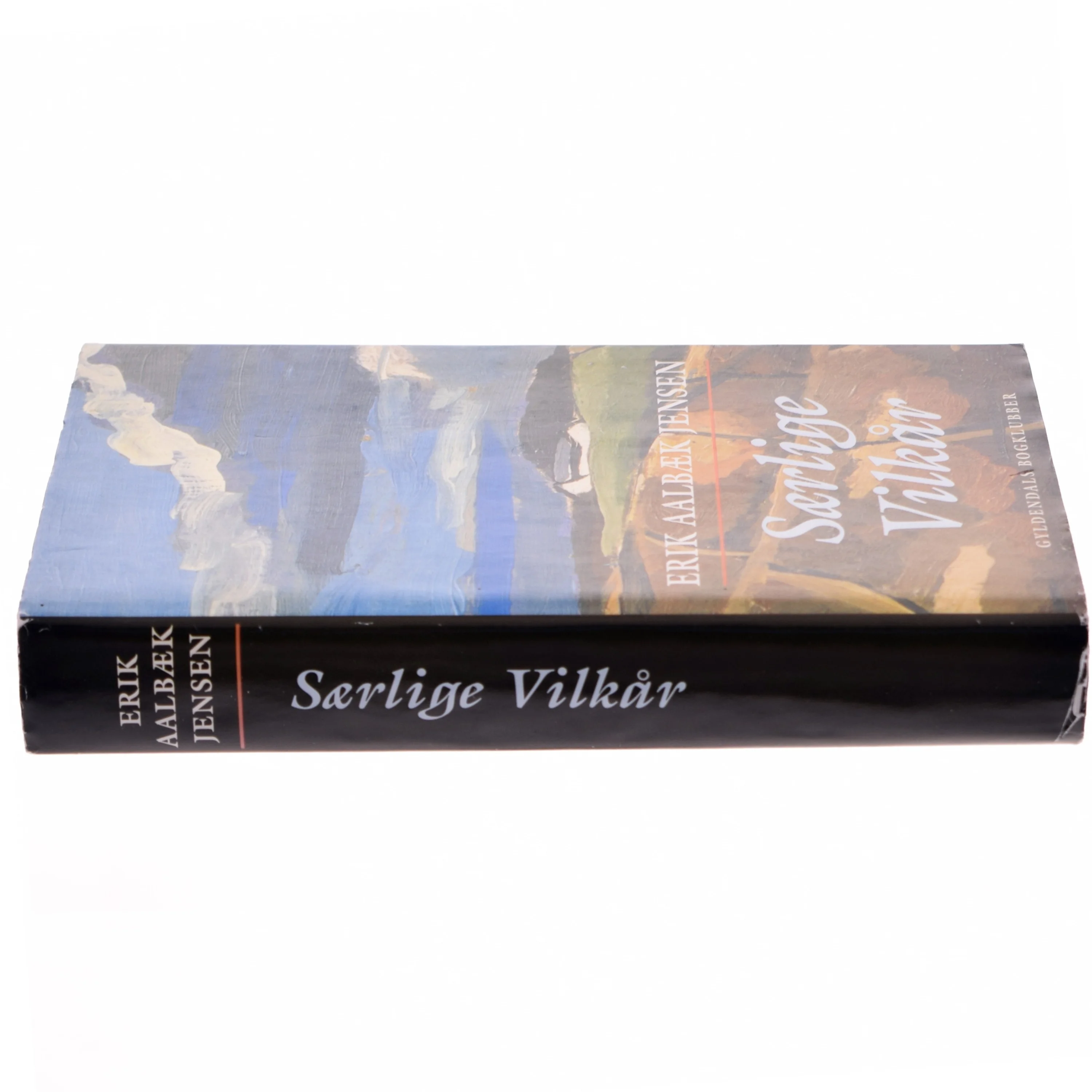 Særlige vilkår : roman af Erik Aalbæk Jensen (Bog)