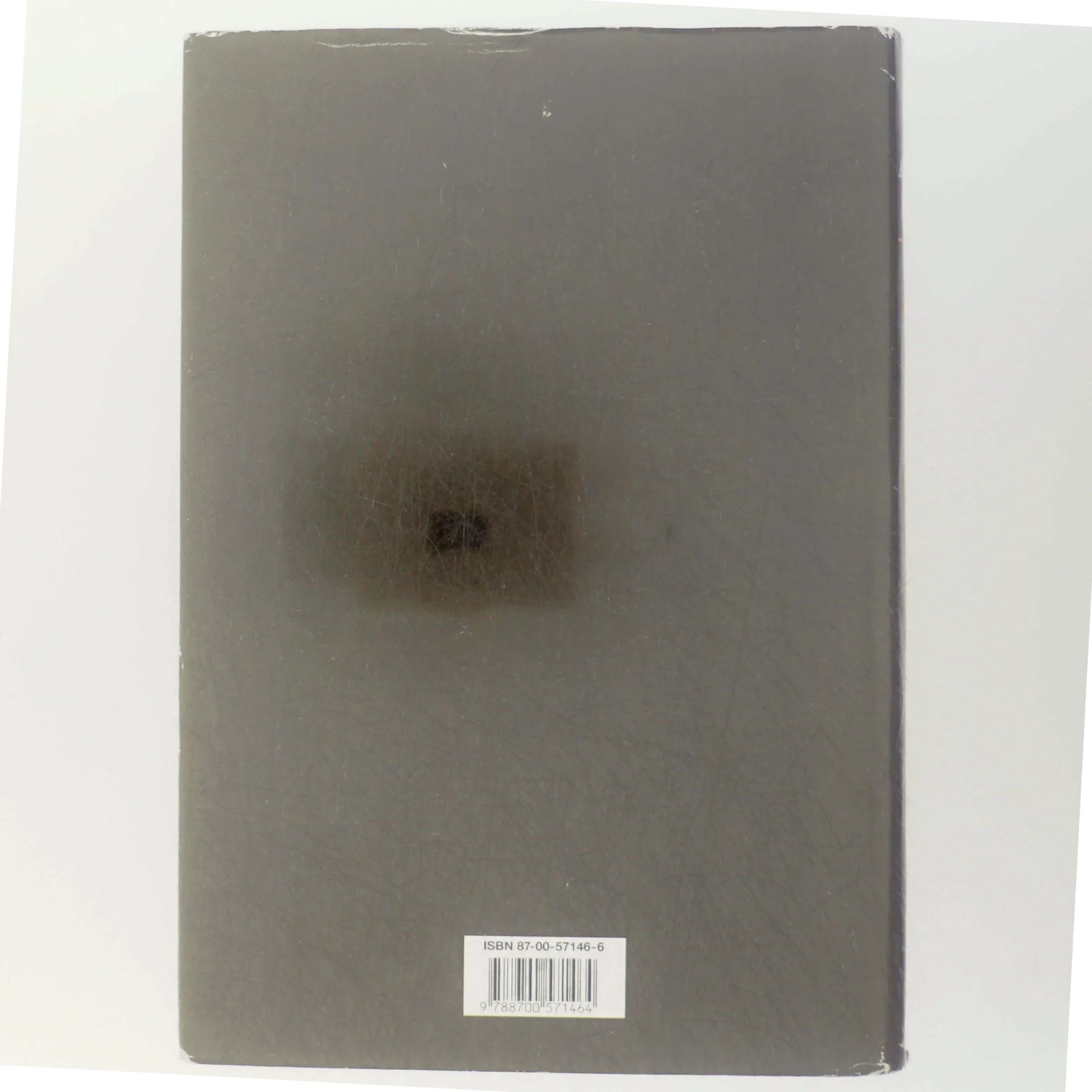 Særlige vilkår : roman af Erik Aalbæk Jensen (Bog)