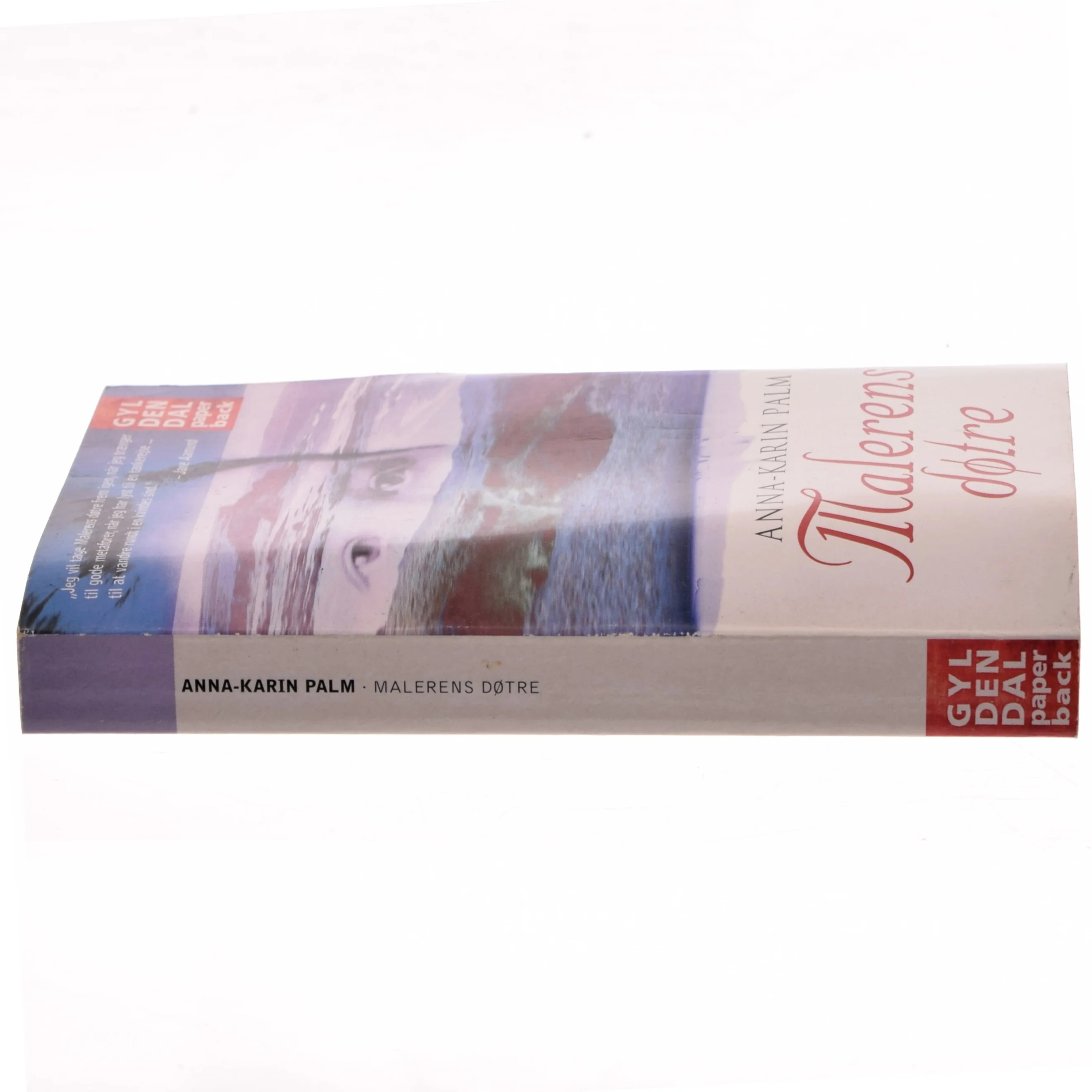Malerens døtre af Anna-Karin Palm (Bog)