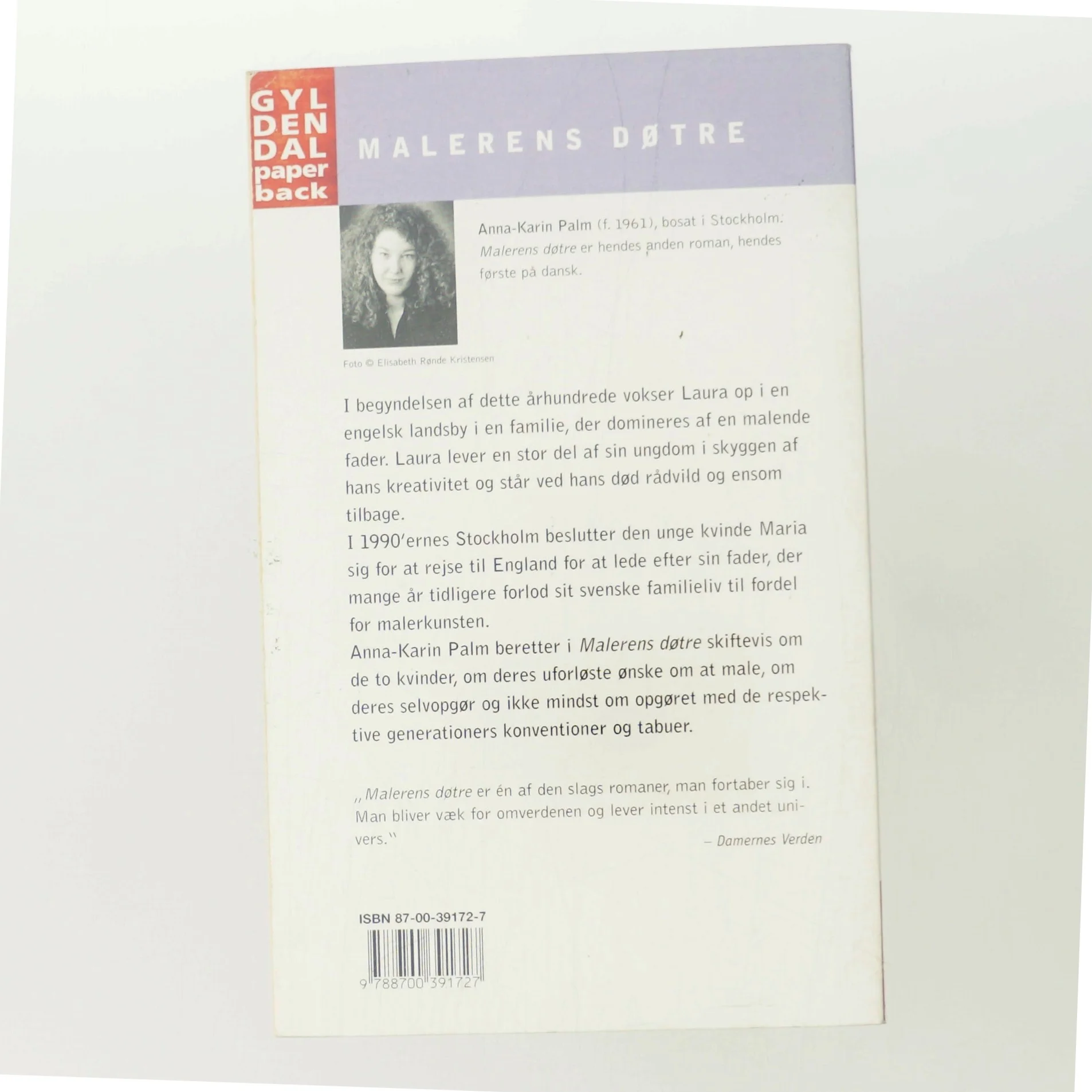 Malerens døtre af Anna-Karin Palm (Bog)