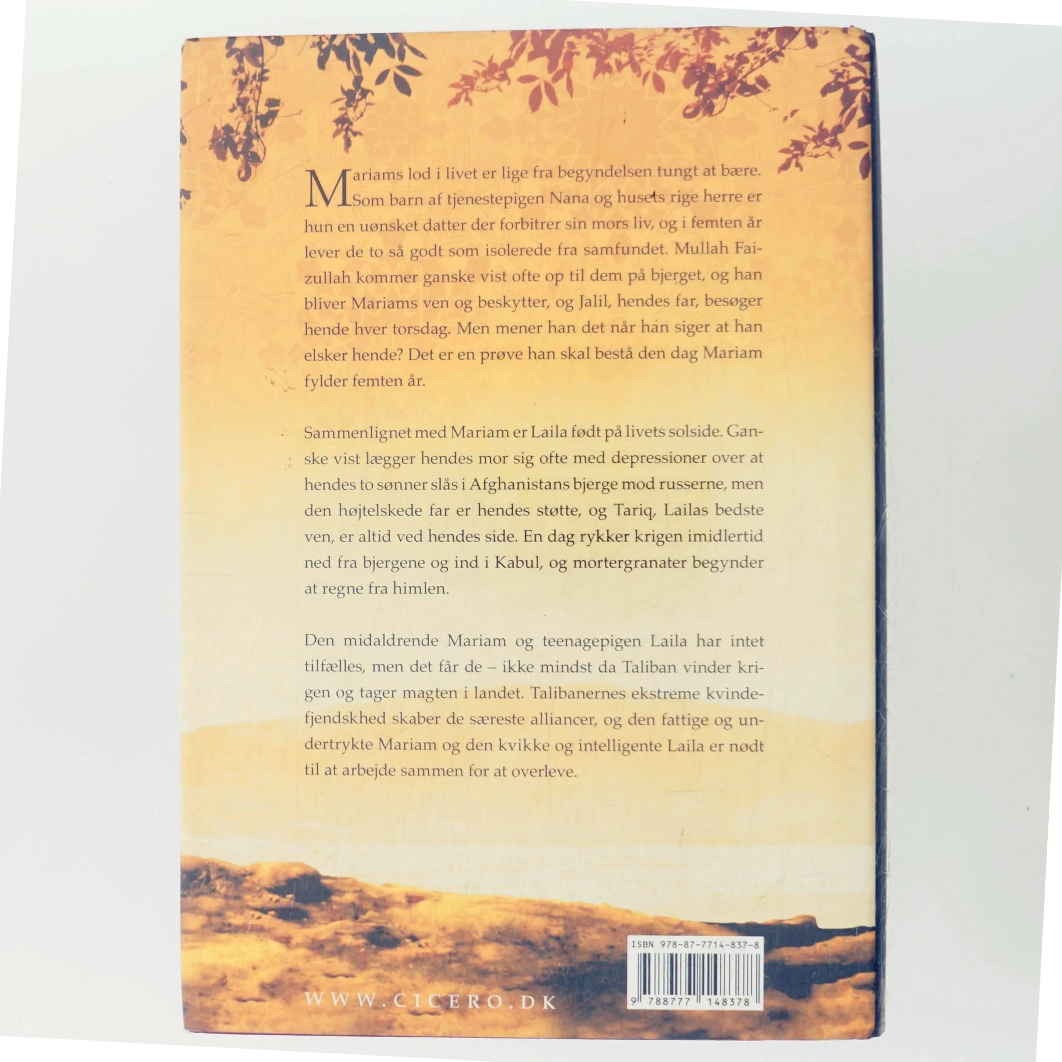 Under en strålende sol af Khaled Hosseini (Bog)