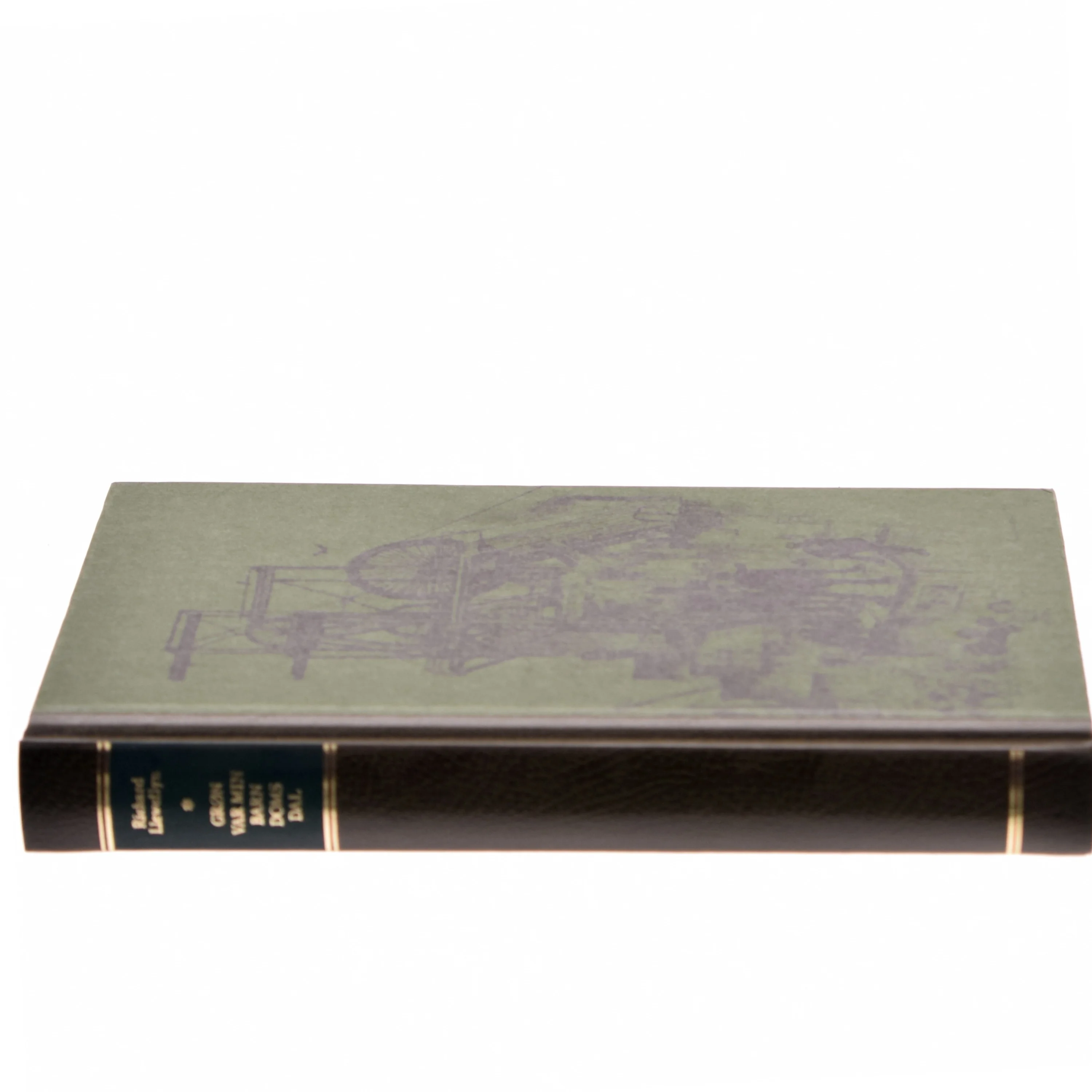 Germinal af Emile Zola (Bog)