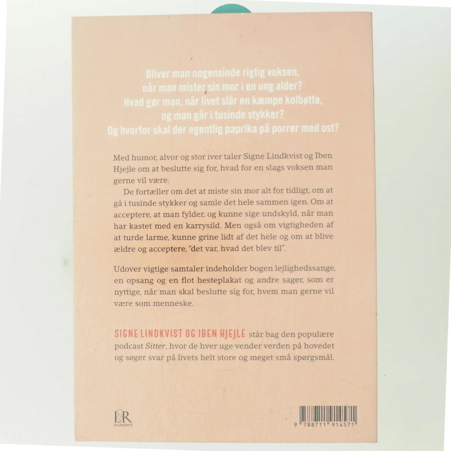 Er der en voksen til stede? af Iben Hjejle (Bog)