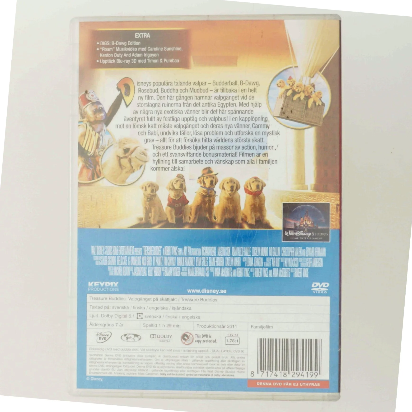 Treasure Buddies: Valpgänget på skattjakt med Budderball (DVD)