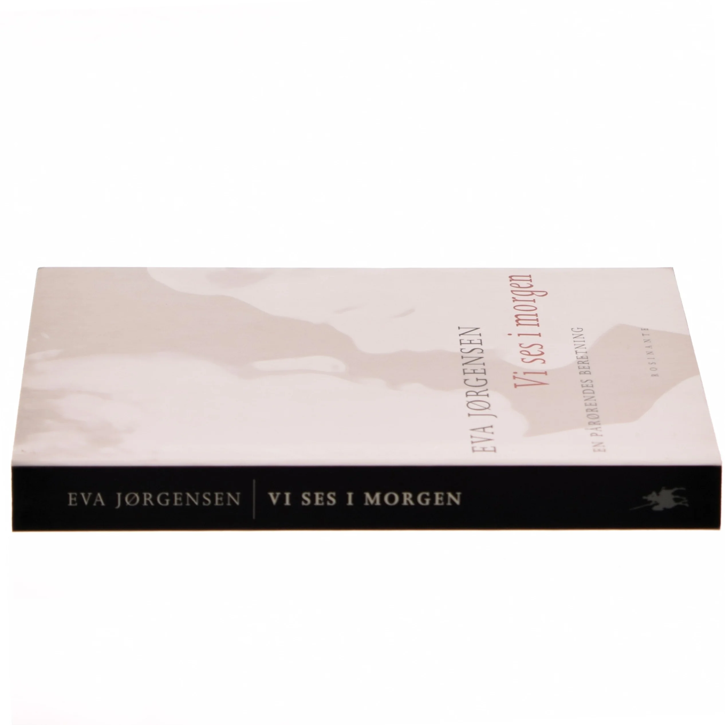 Vi ses i morgen af Eva Jørgensen (Bog)