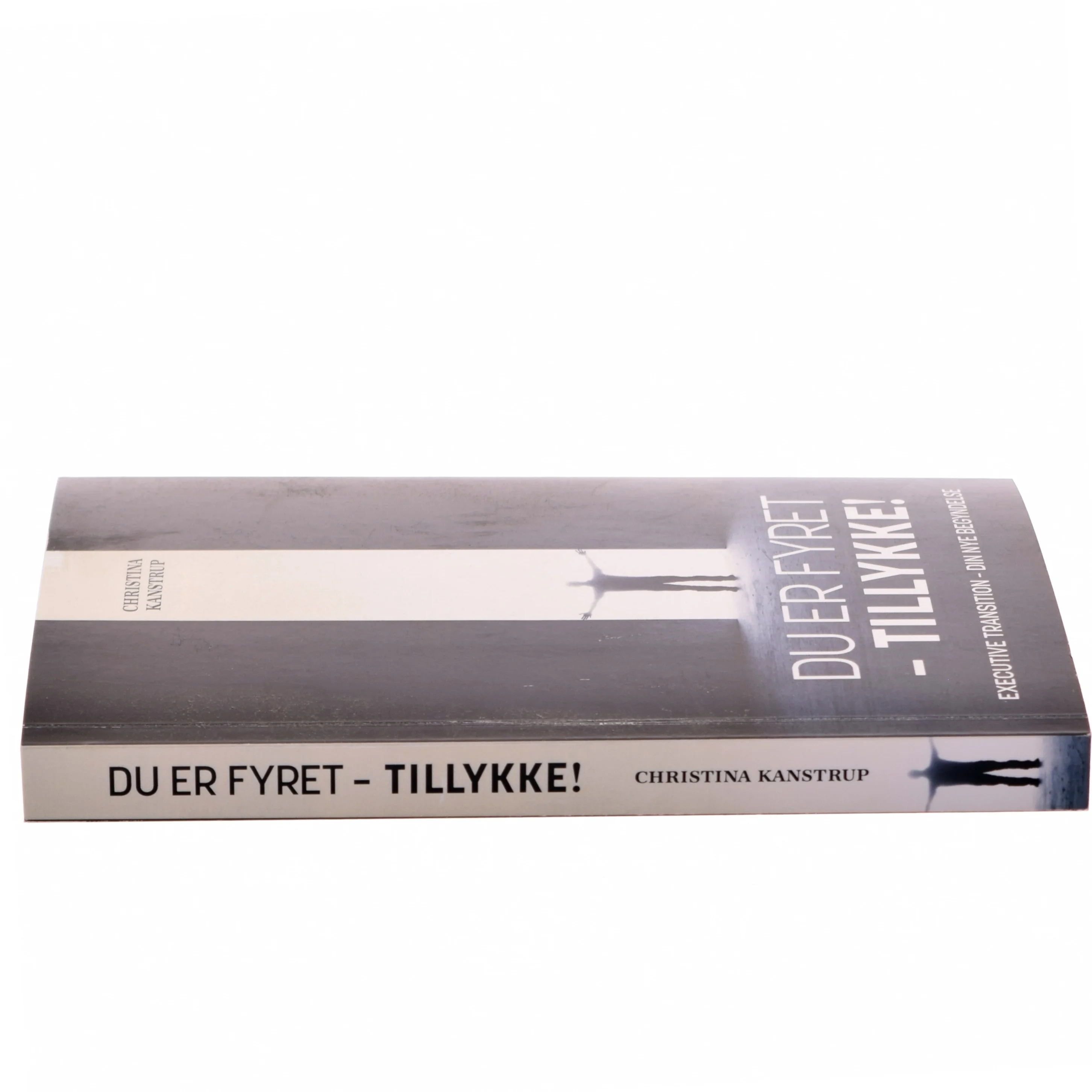 Du er fyret - tillykke! : executive transition - din nye begyndelse af Christina Kanstrup (Bog)