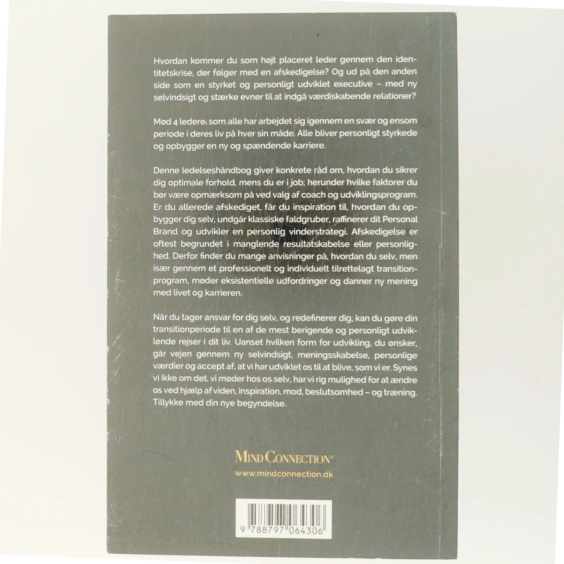 Du er fyret - tillykke! : executive transition - din nye begyndelse af Christina Kanstrup (Bog)