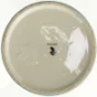 Keramikvase, urtepotte (str. 12 o cm x 12 cm)
