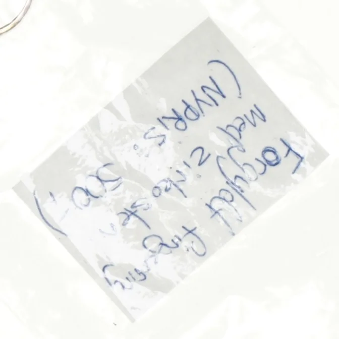 finger ring (str. 54)