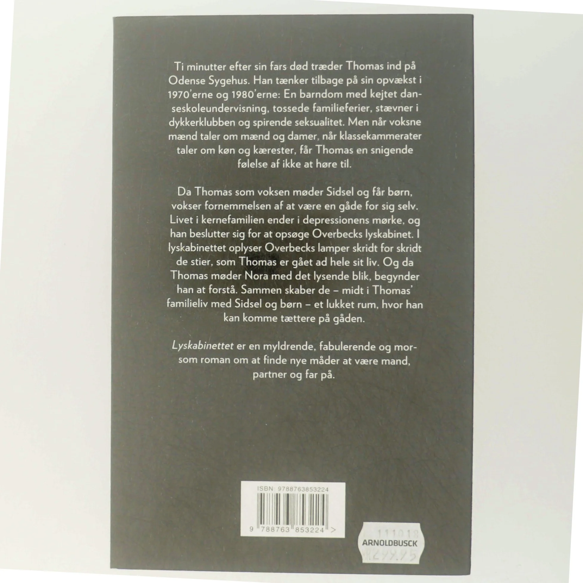 Lyskabinettet : roman af Morten Ramsland (Bog)