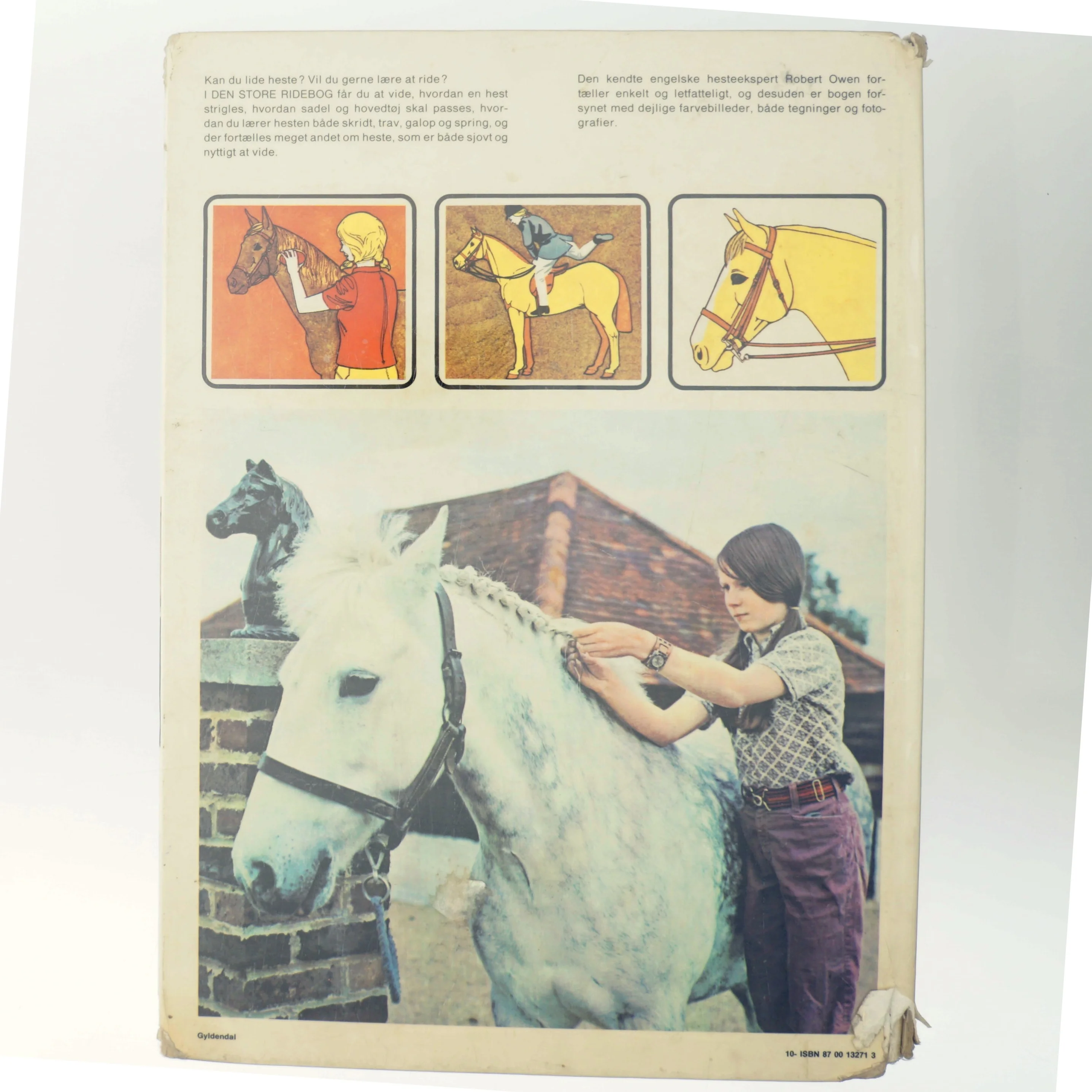 Den store ridebog af Robert Owen (Bog)