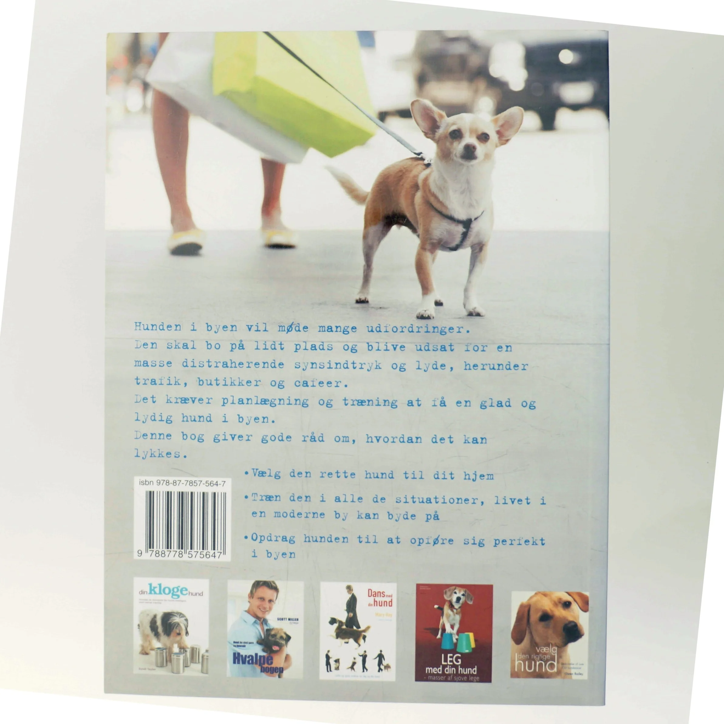 Hund i byen : guide for hundeejere i byen af Sarah Whitehead (Bog)