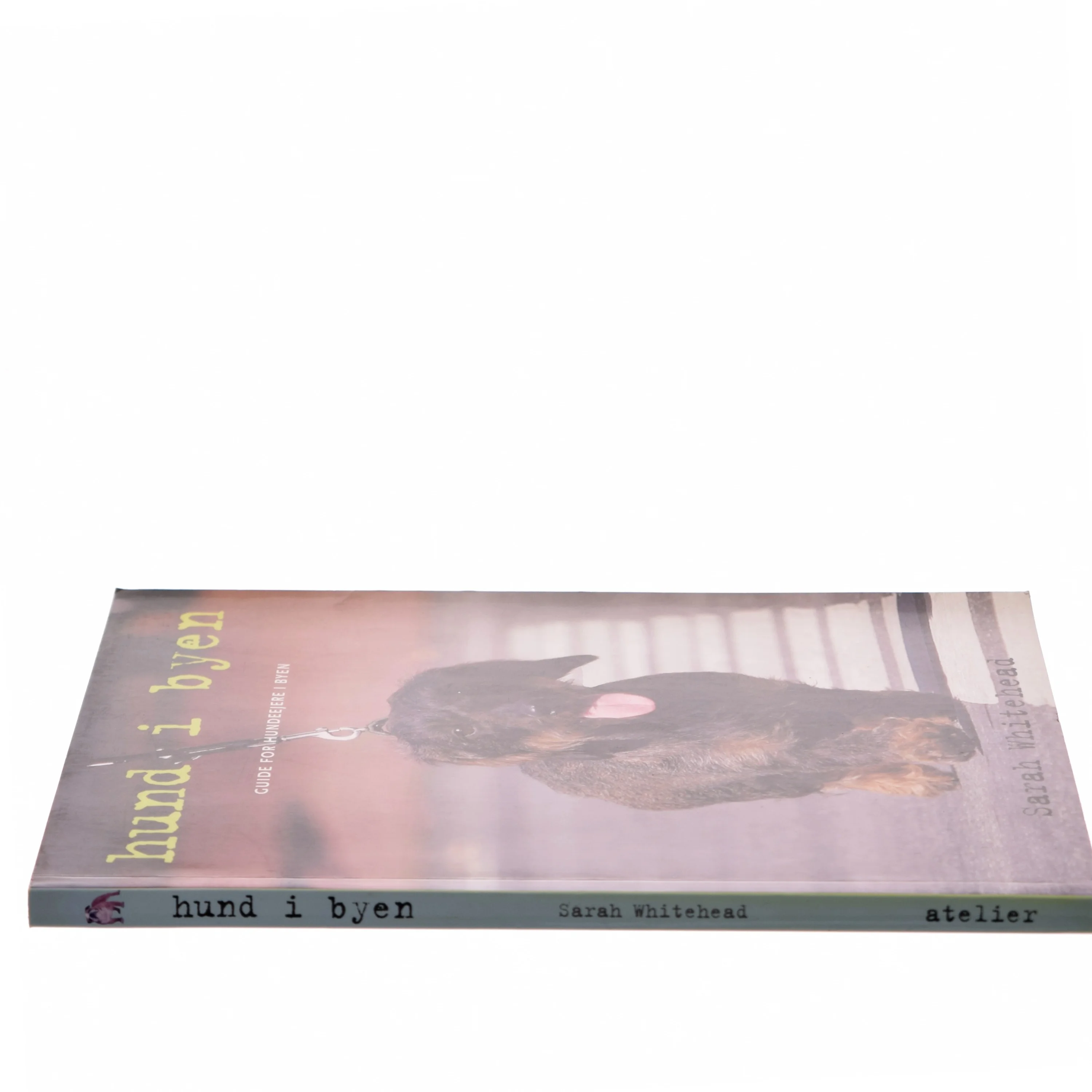 Hund i byen : guide for hundeejere i byen af Sarah Whitehead (Bog)