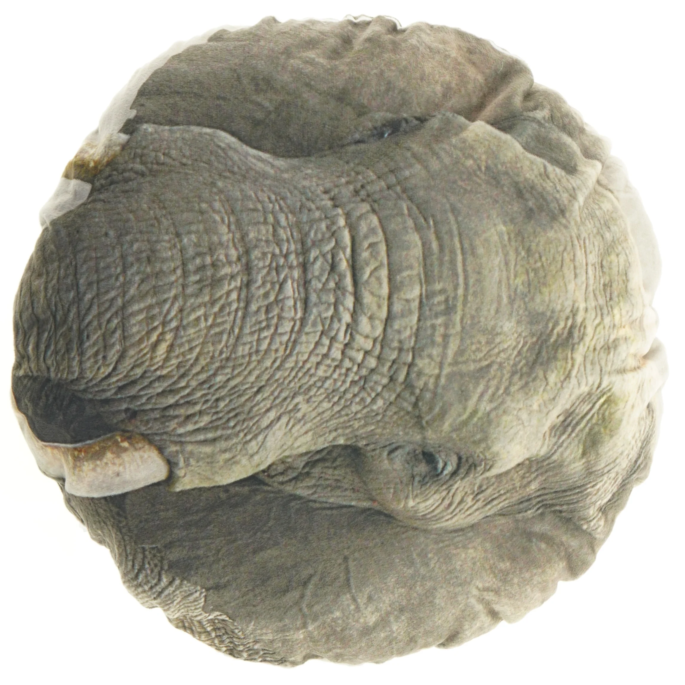 Rund Elefant skulptur pude (str. Ø 30 cm)