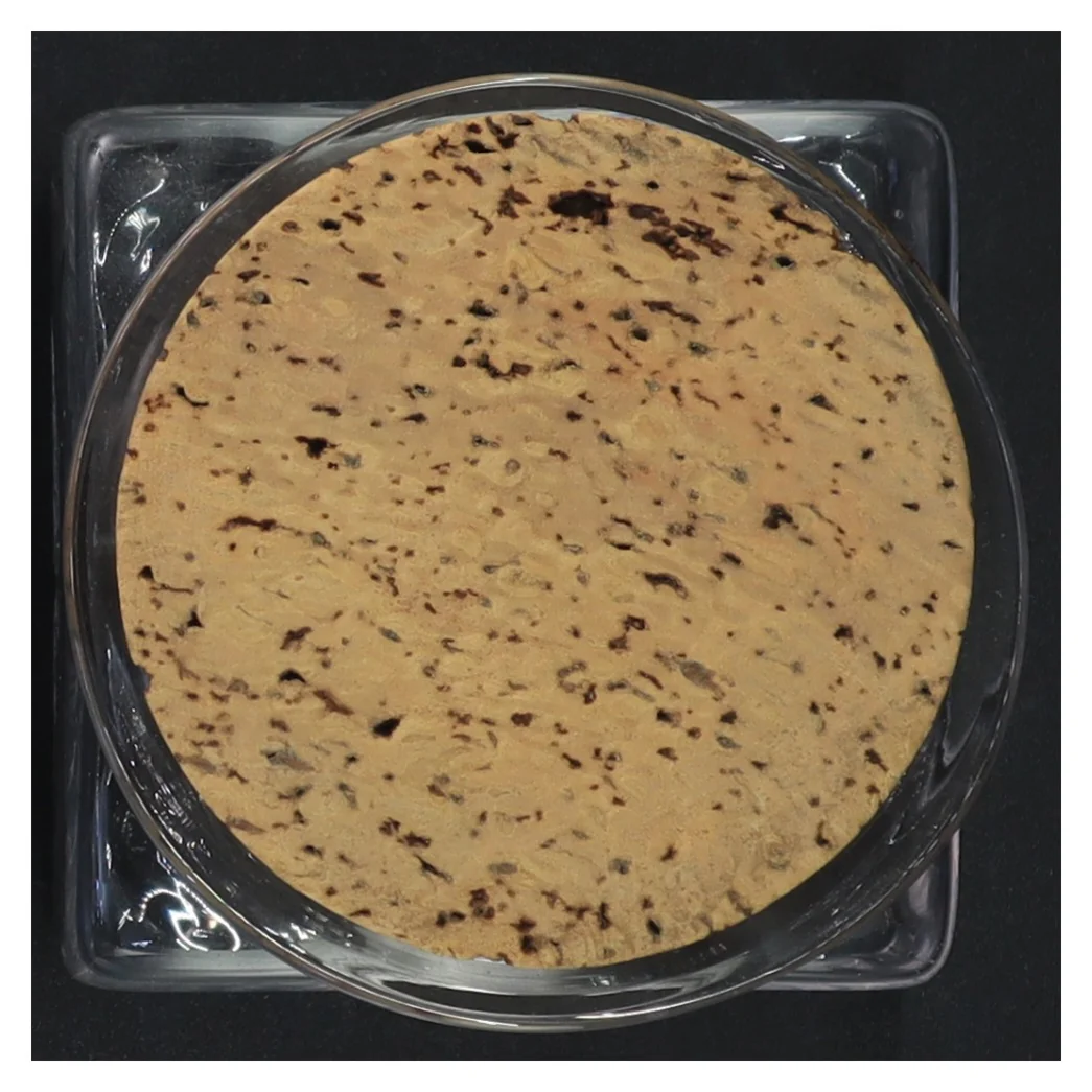 Glas beholder med korkprop (str. 10 x 9 x 9 cm)