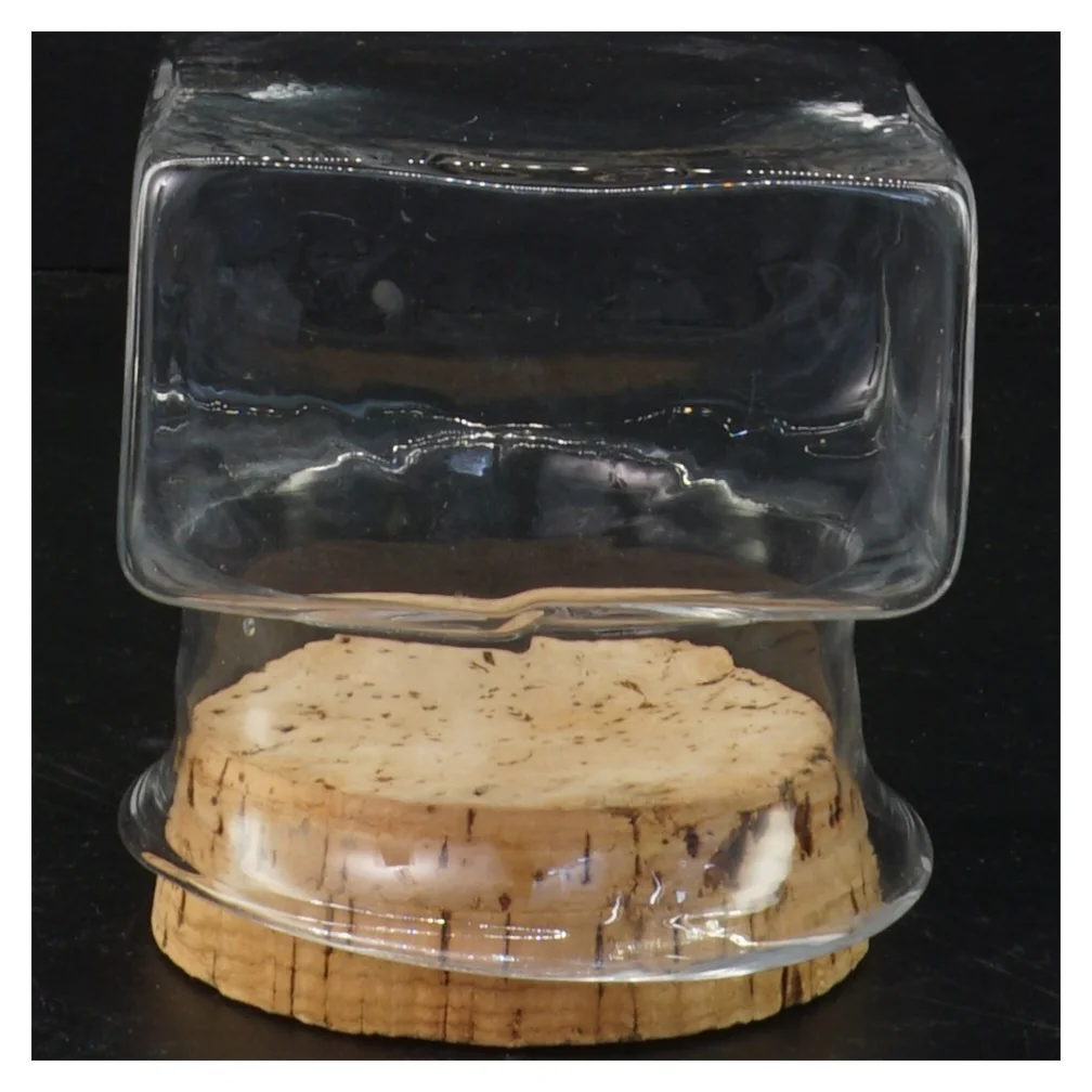 Glas beholder med korkprop (str. 10 x 9 x 9 cm)