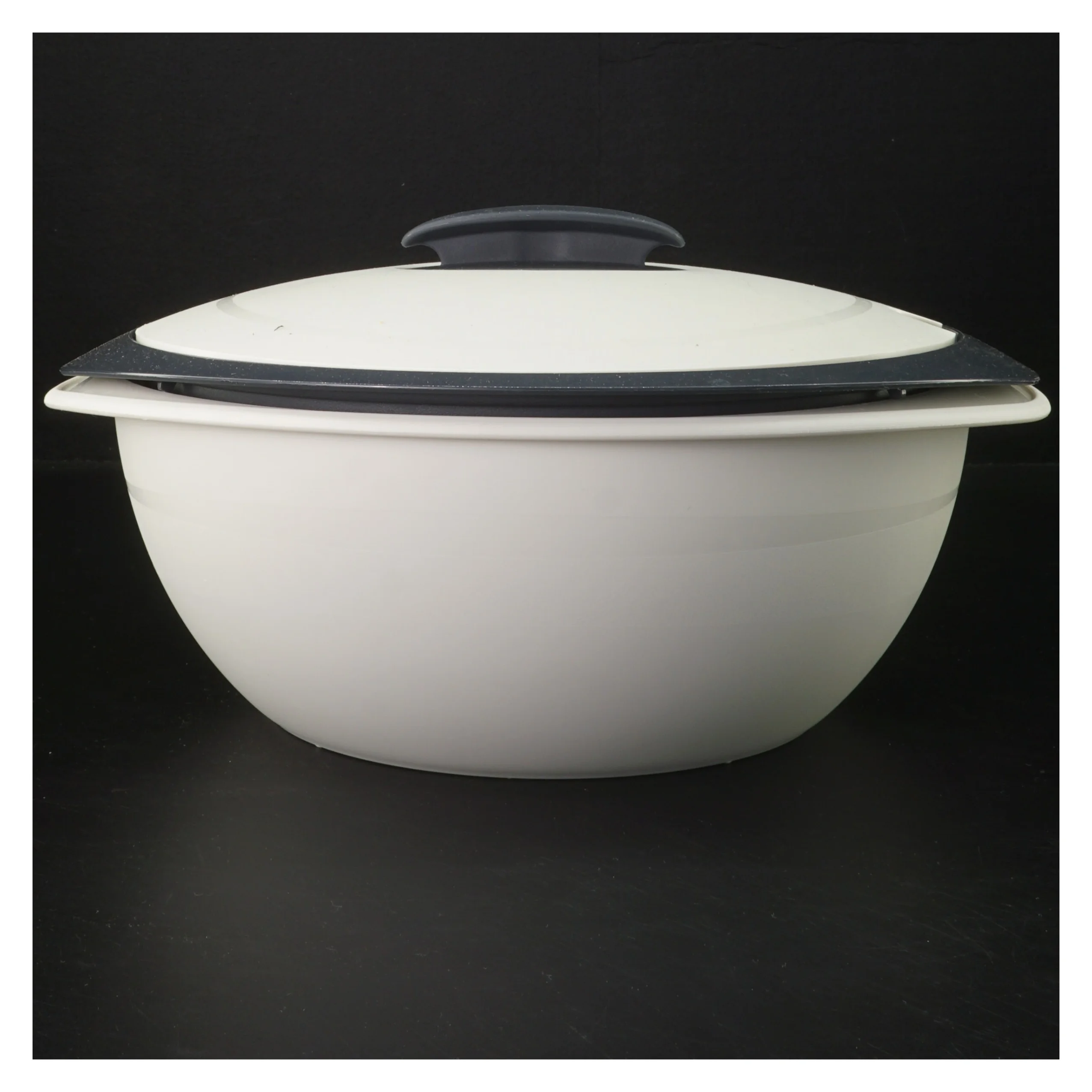 Stor skål med låg fra Tupperware (str. 25x32x14 cm)