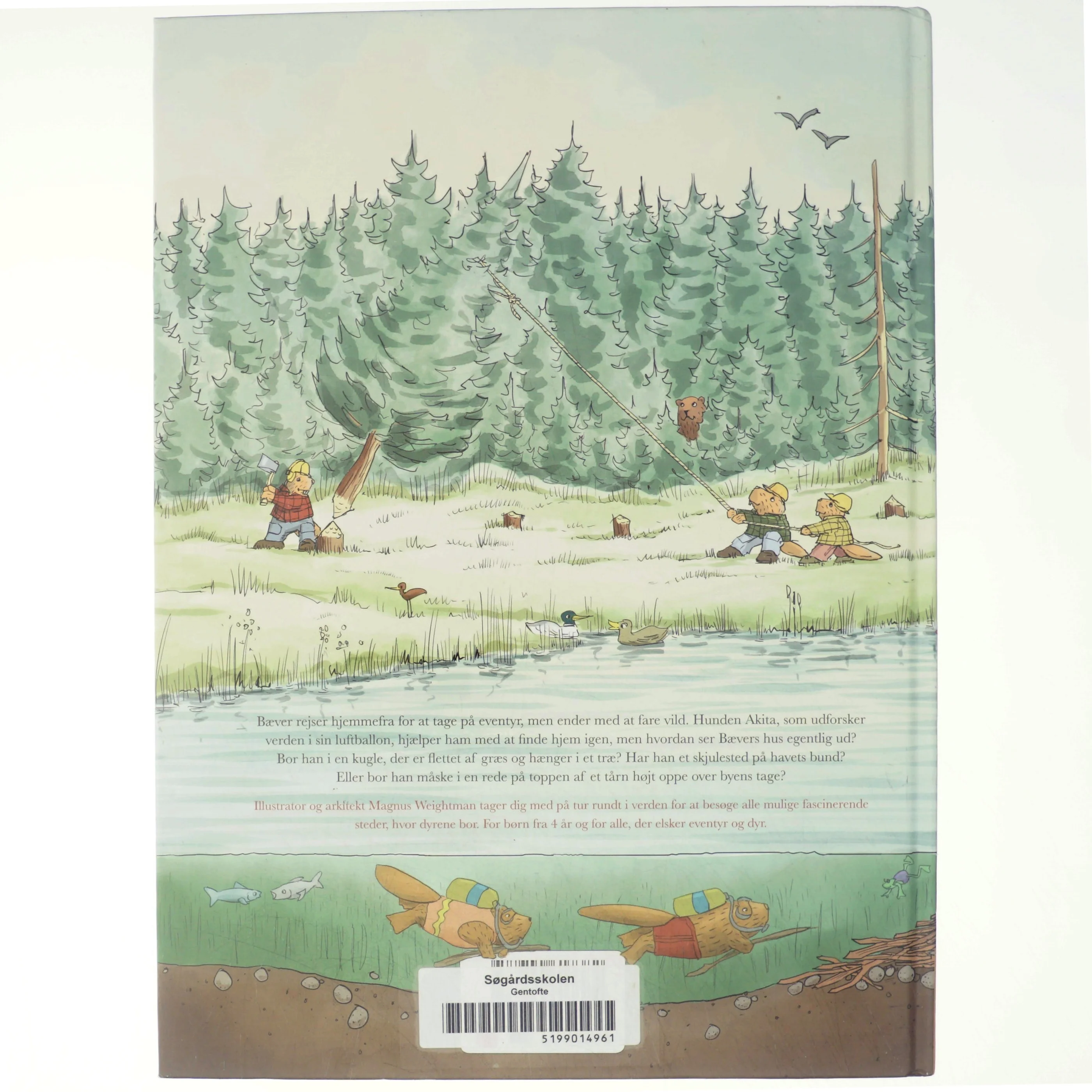 velkommen hjem bæver