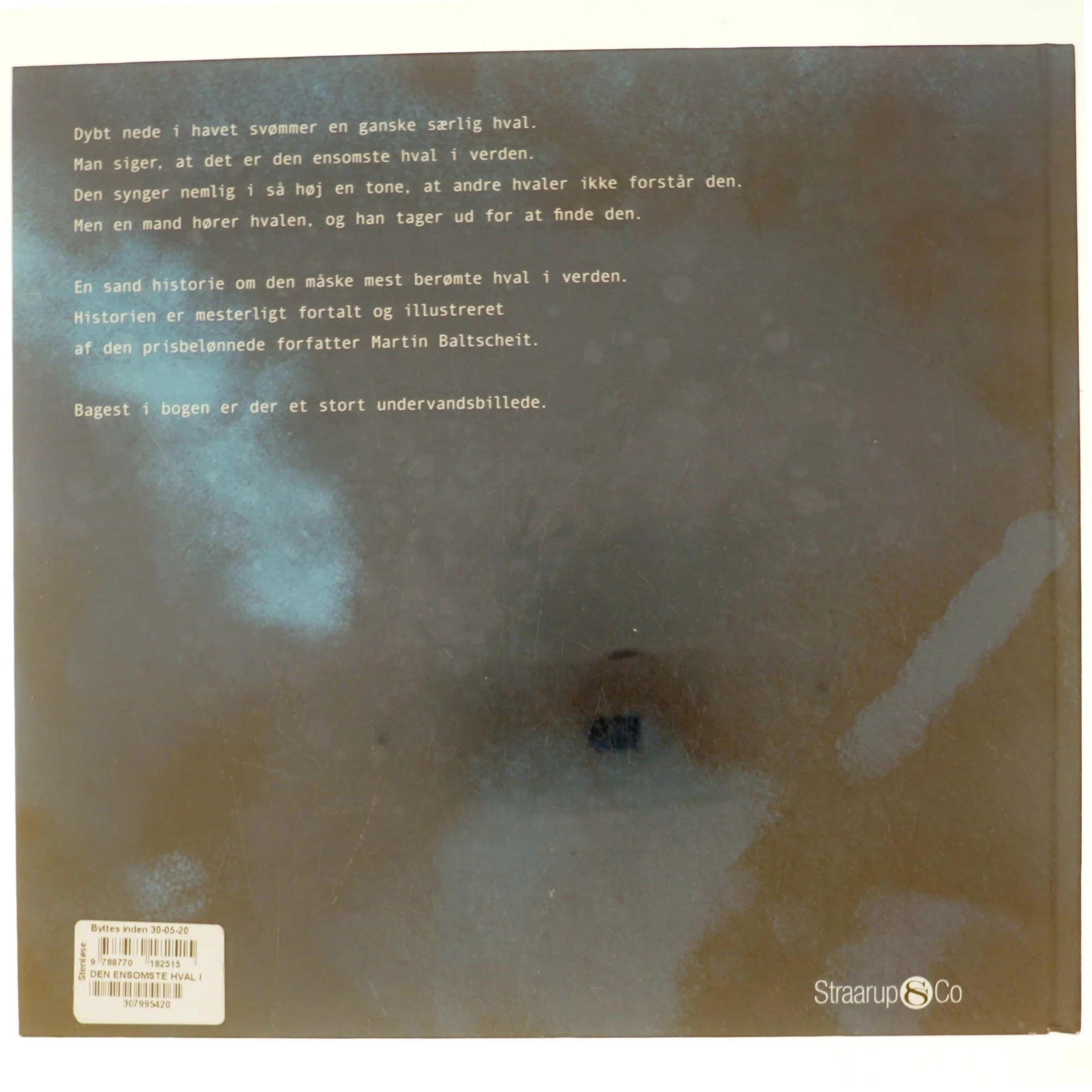 Den ensomste hval i verden