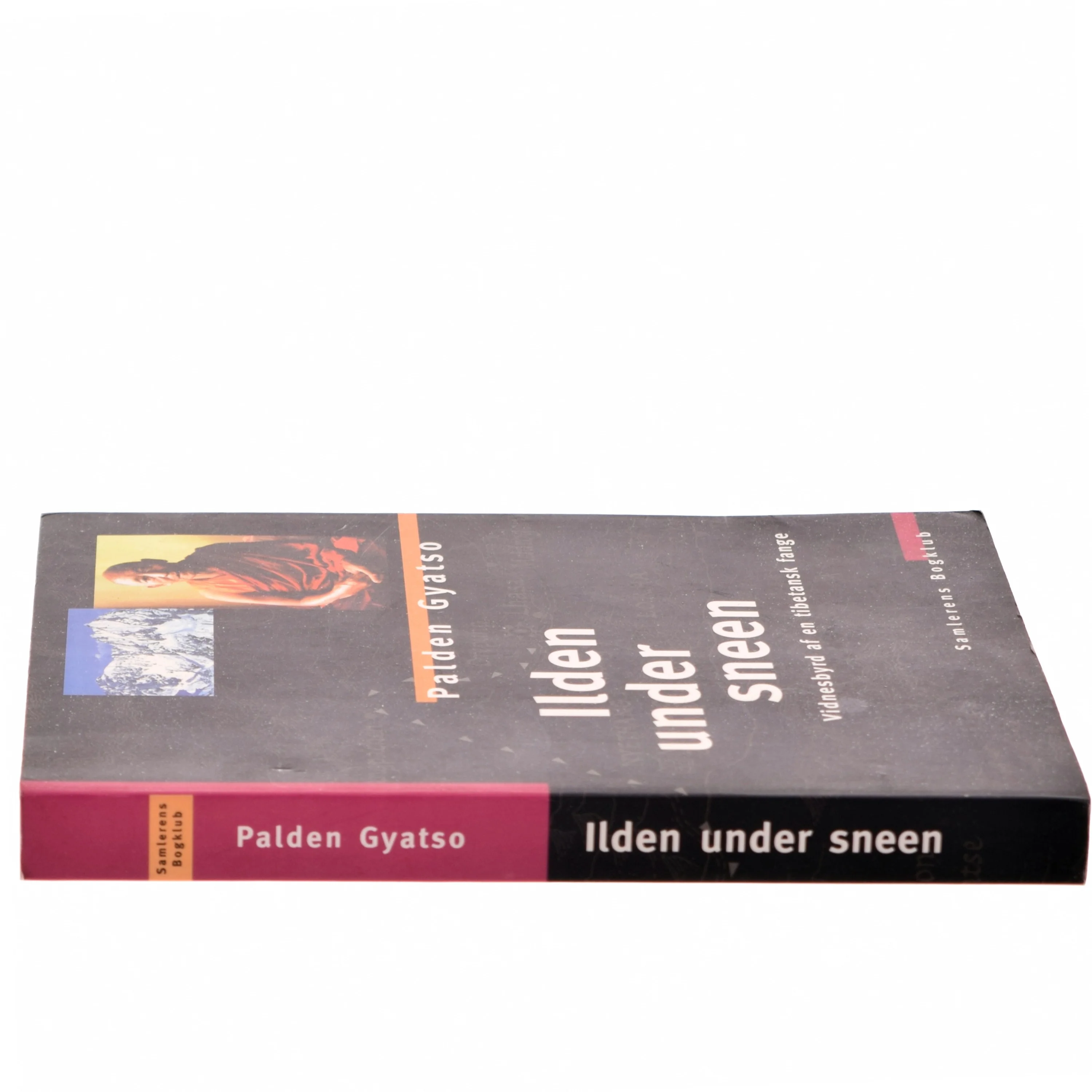 Ilden under sneen af Palden Gyatso (Bog)