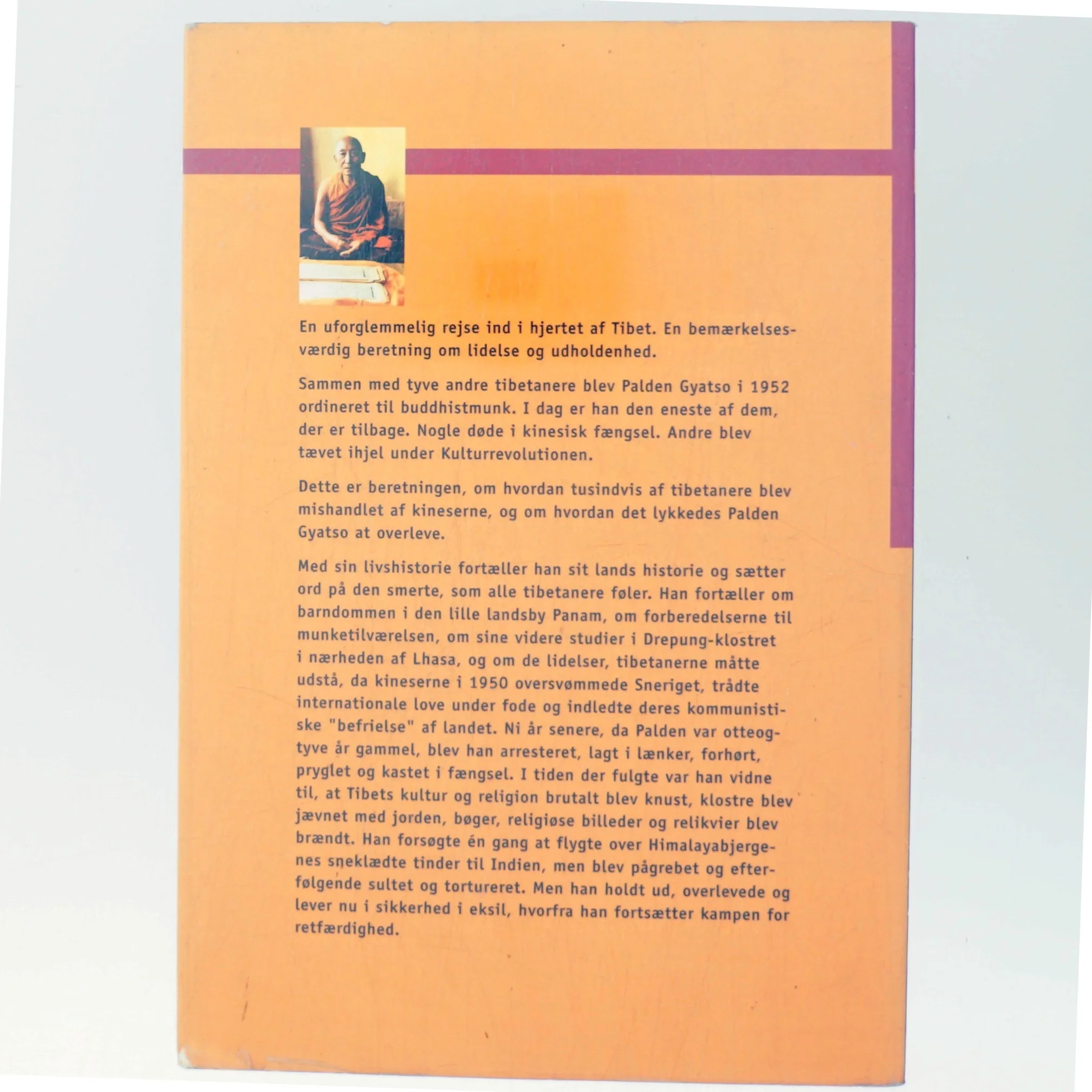 Ilden under sneen af Palden Gyatso (Bog)