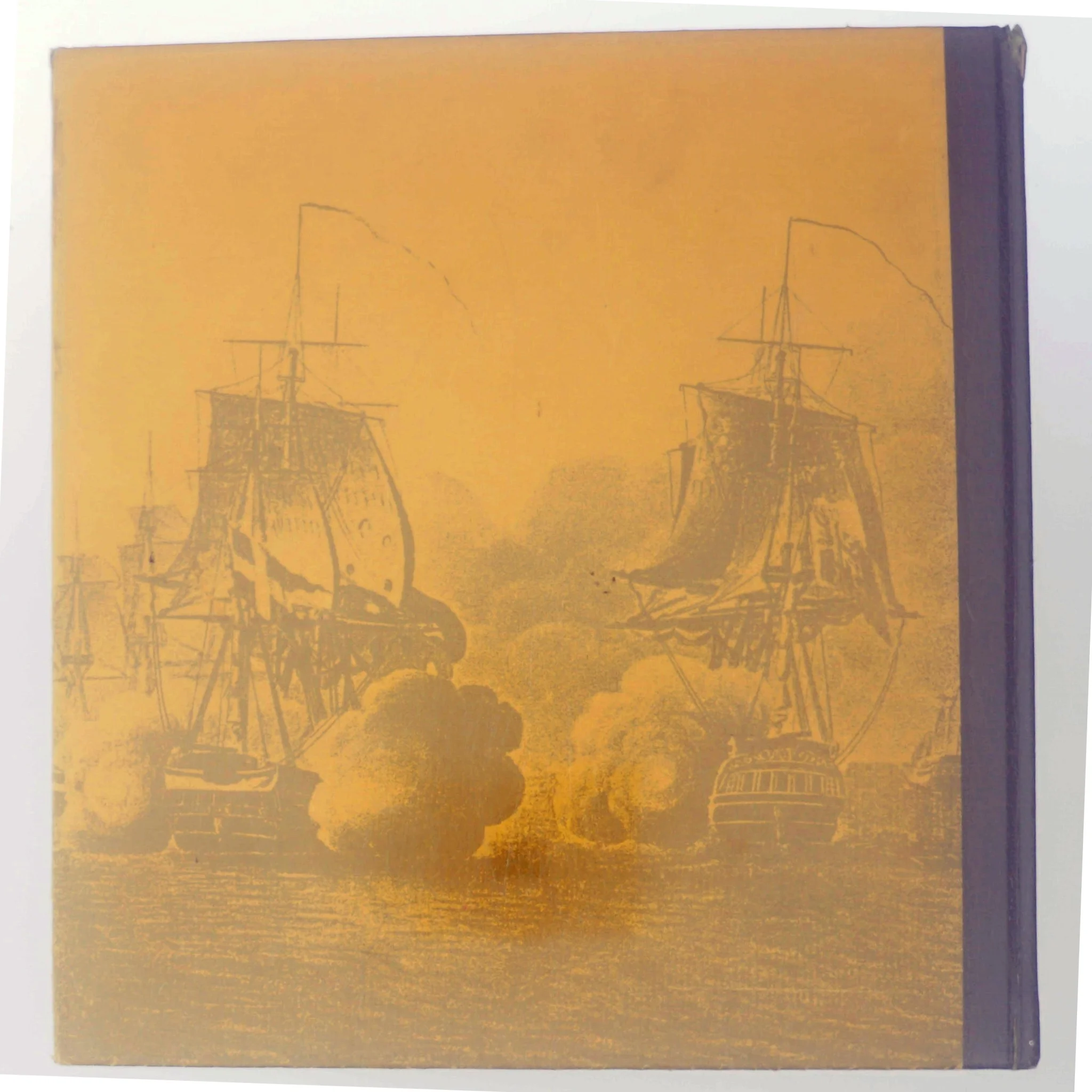 Billeder af Danmarks historie af Palle Lauring (Bog)