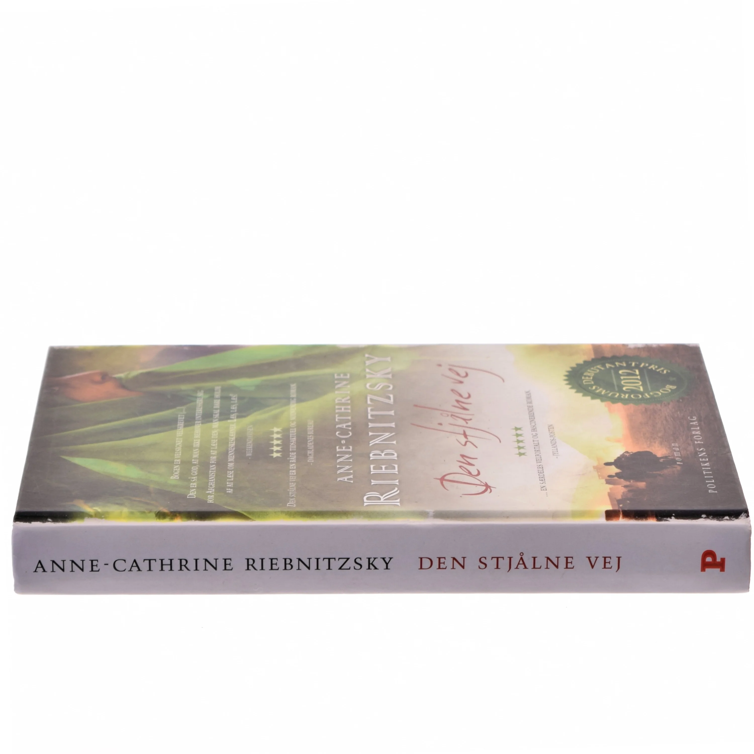 Den stjålne vej af Anne-Cathrine Riebnitzsky (Bog)