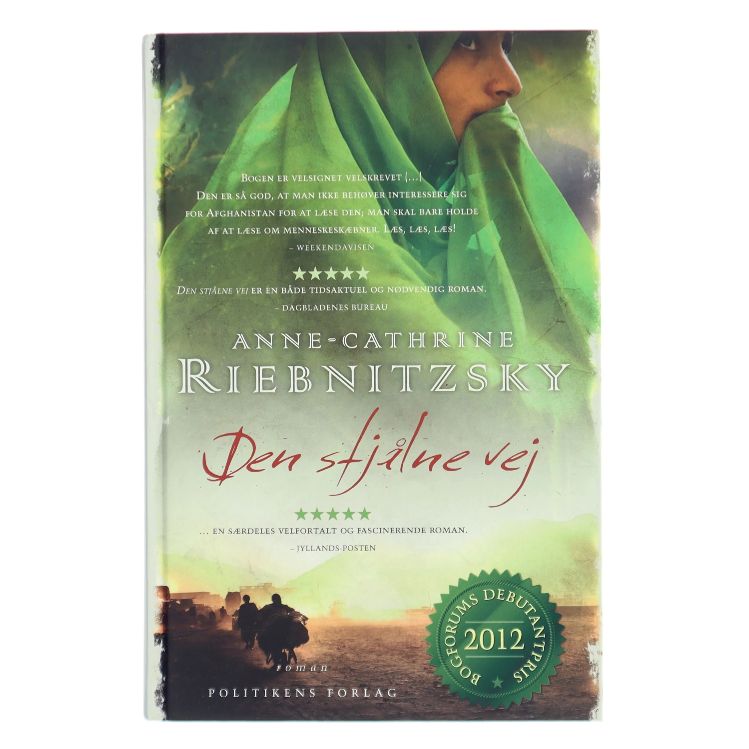 Den stjålne vej af Anne-Cathrine Riebnitzsky (Bog)