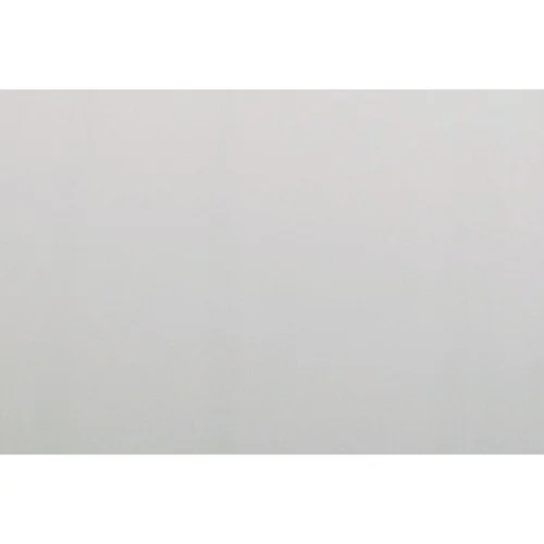 Den stjålne vej af Anne-Cathrine Riebnitzsky (Bog)