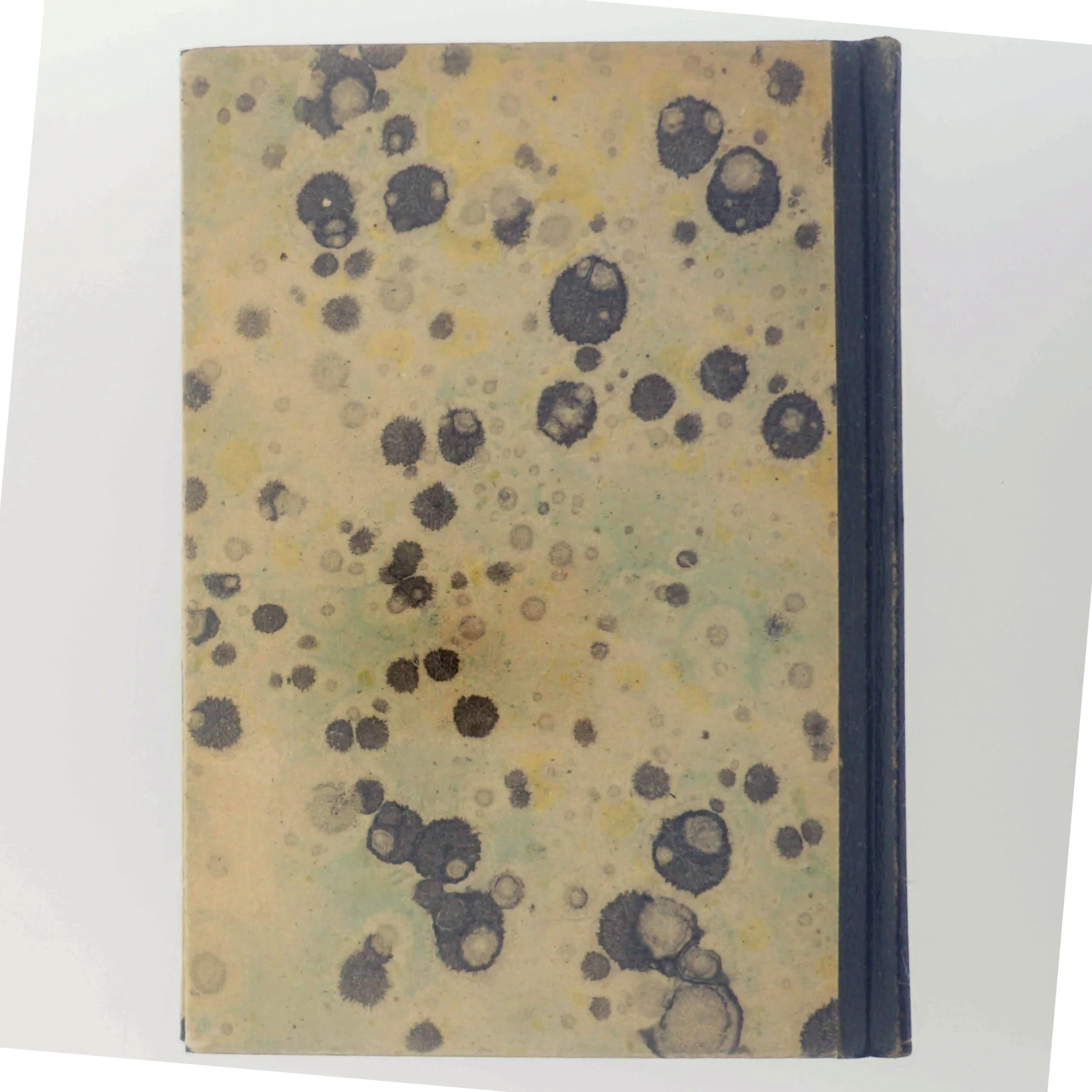 Grevinde Godshehad af Schlyter og Heiberg (Bog)