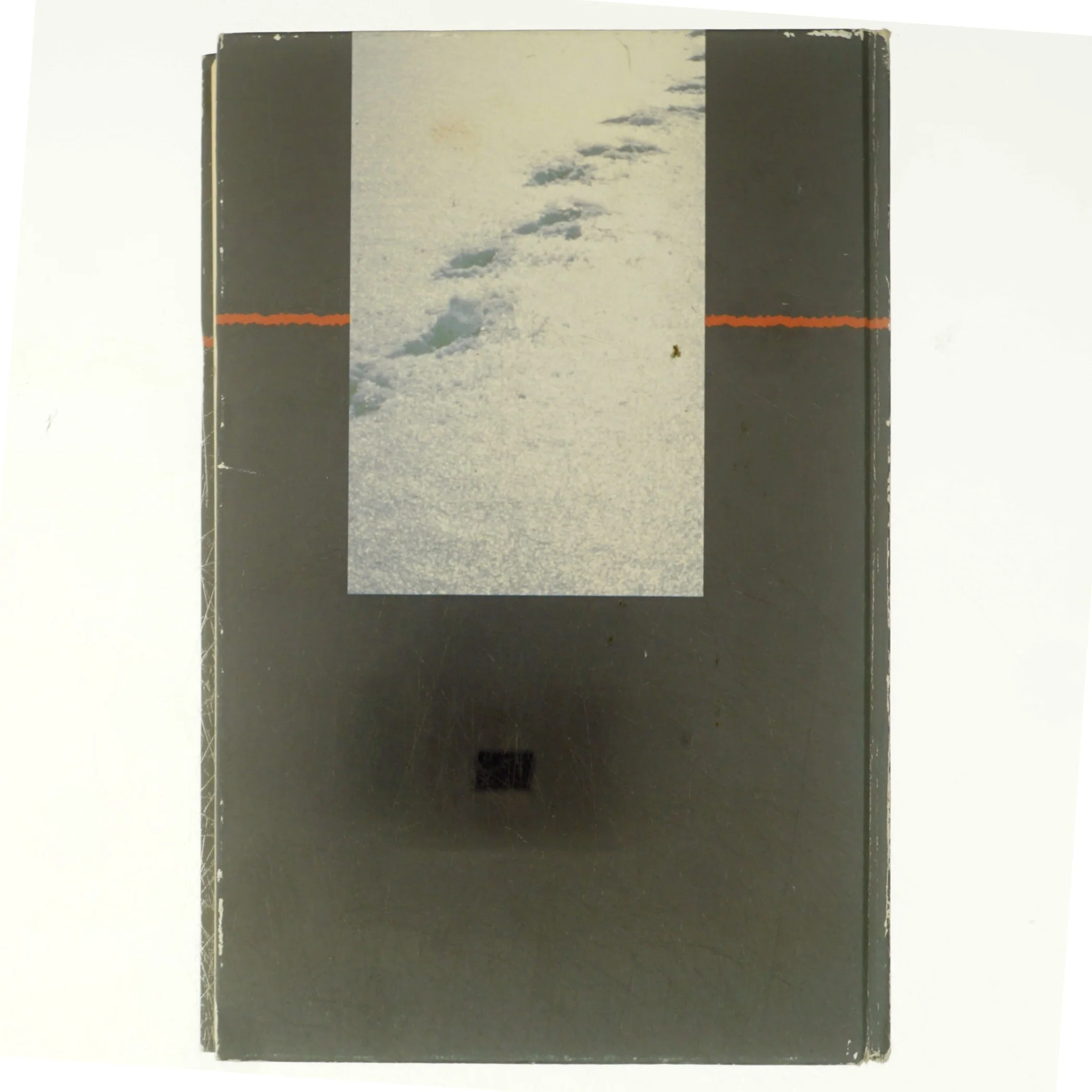 Peter Høeg, Frøken Smillas fornemmelse for sne