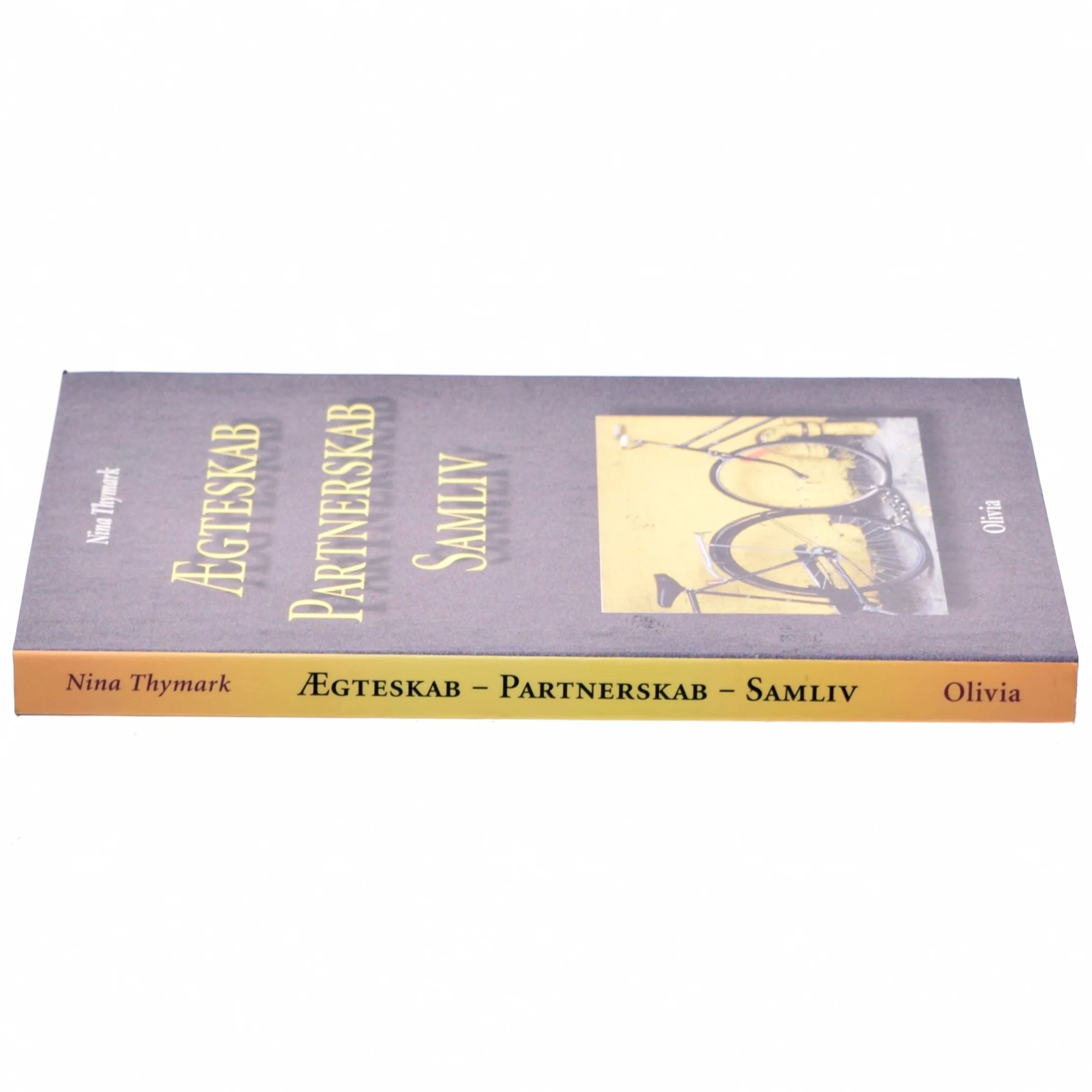 Ægteskab - partnerskab - samliv af Nina Thymark (Bog)