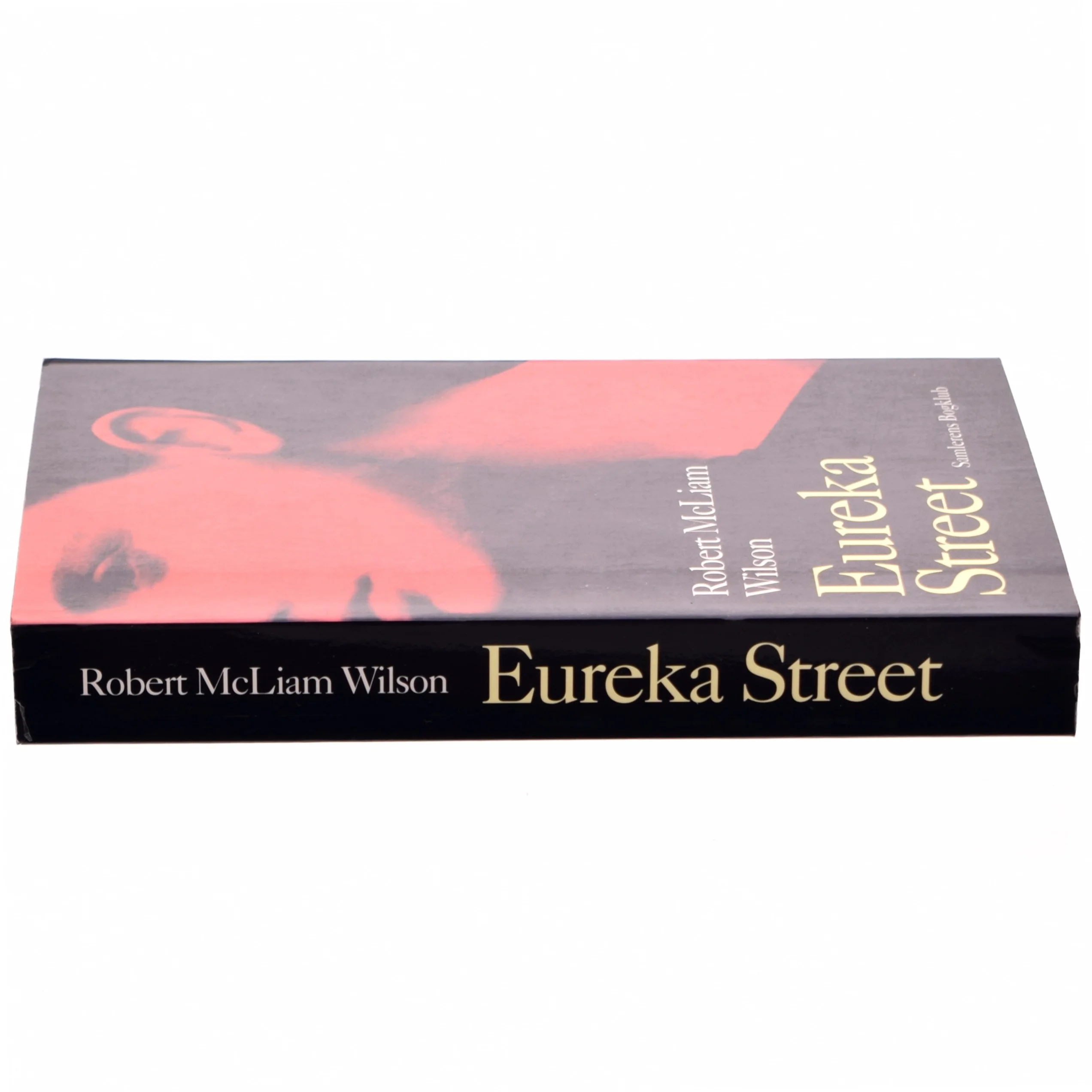 Eureka street af Robert McLiam Wilson