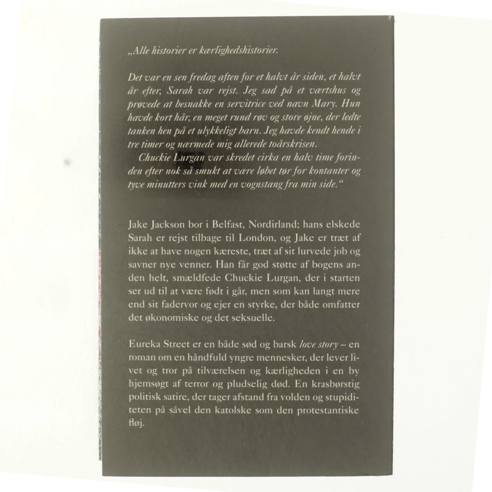 Eureka street af Robert McLiam Wilson