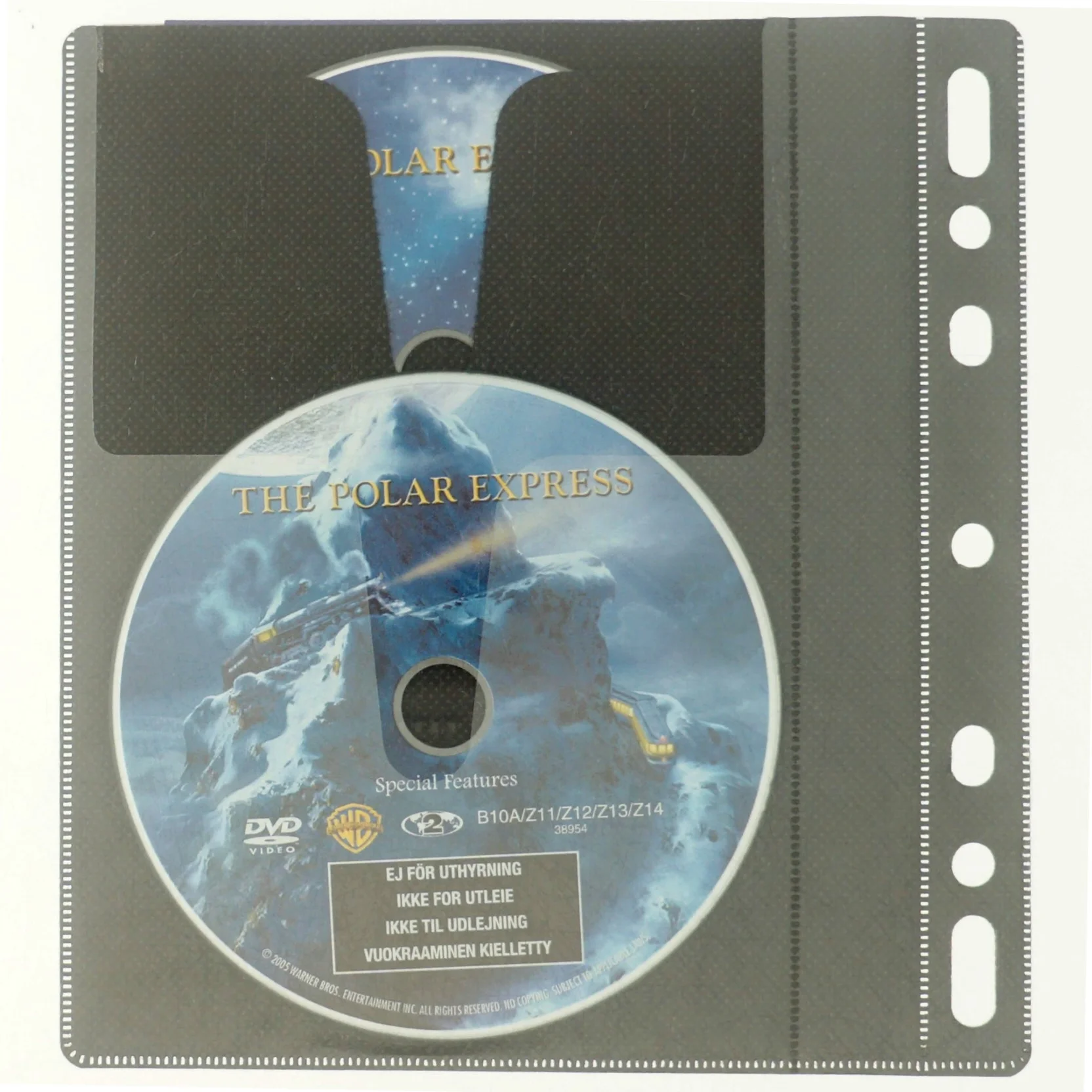Polar-ekspressen (DVD)