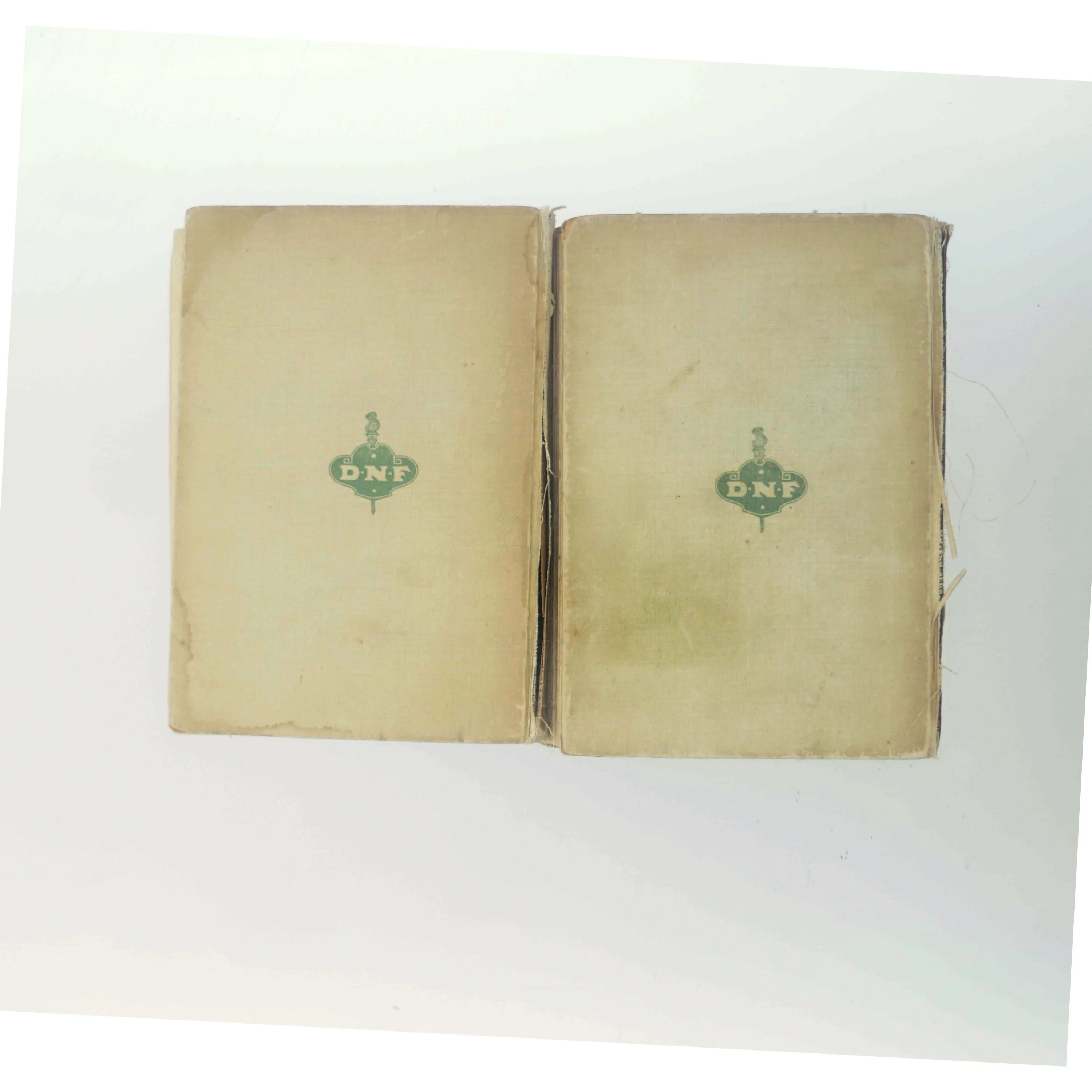 Opstandelse af Leo Tolstoj (Bog)