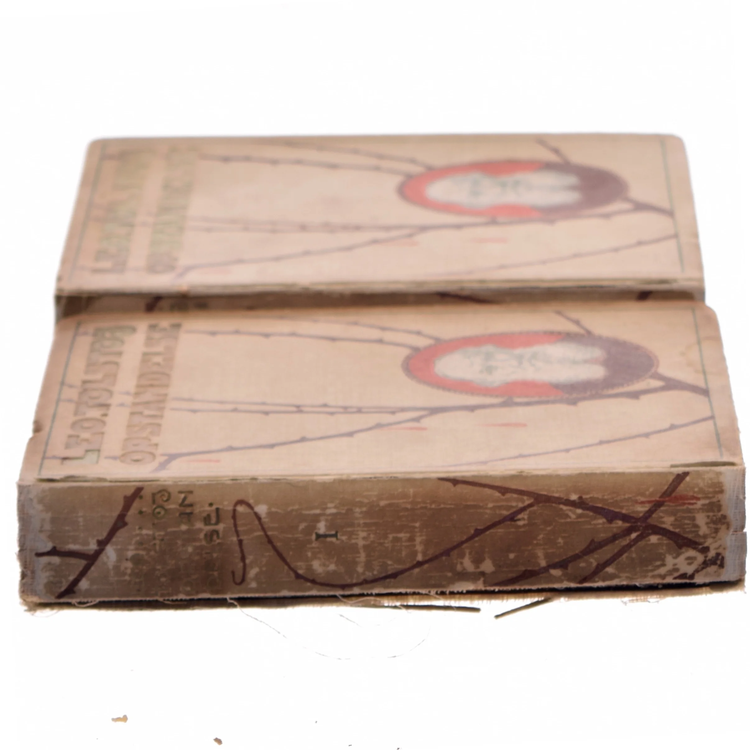 Opstandelse af Leo Tolstoj (Bog)