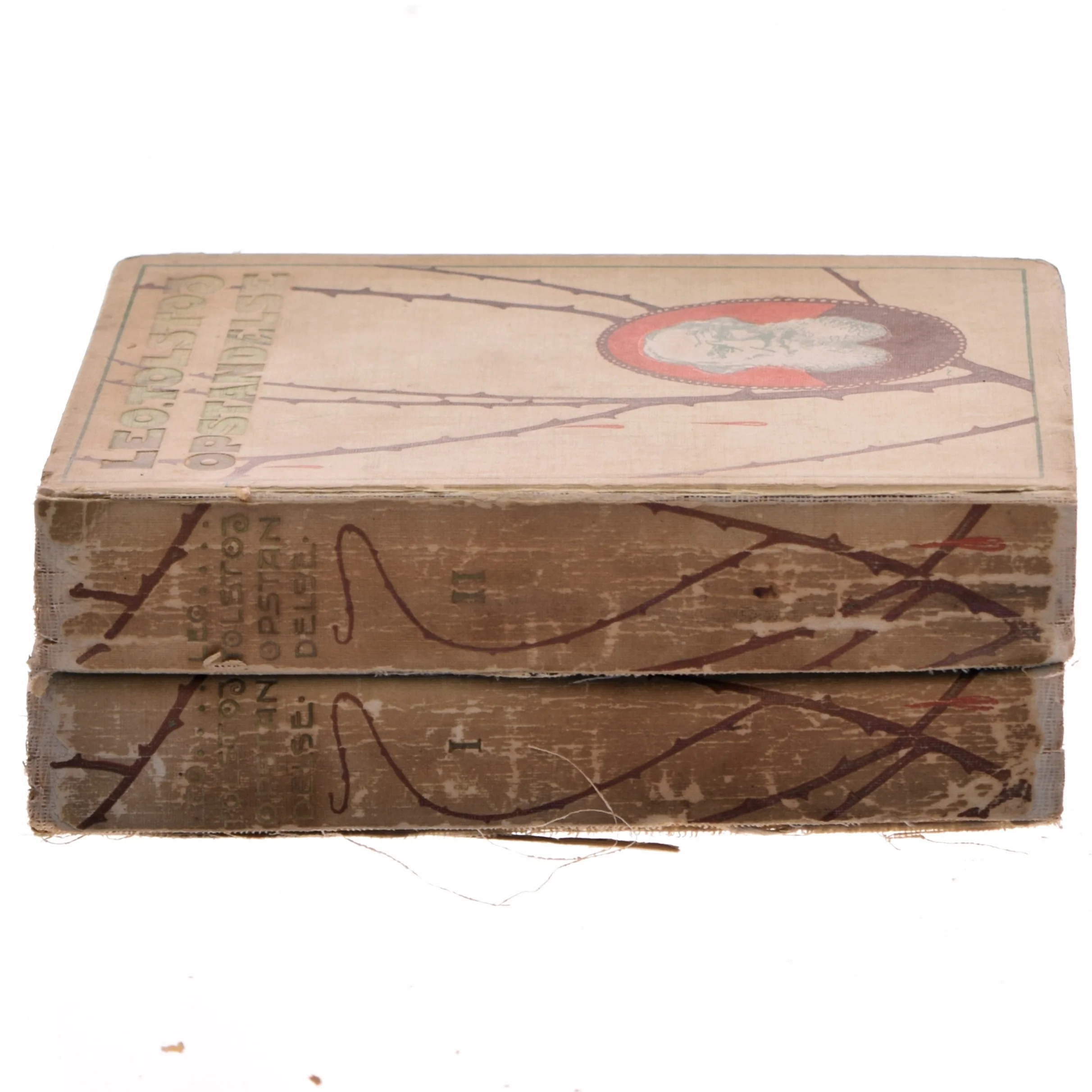 Opstandelse af Leo Tolstoj (Bog)