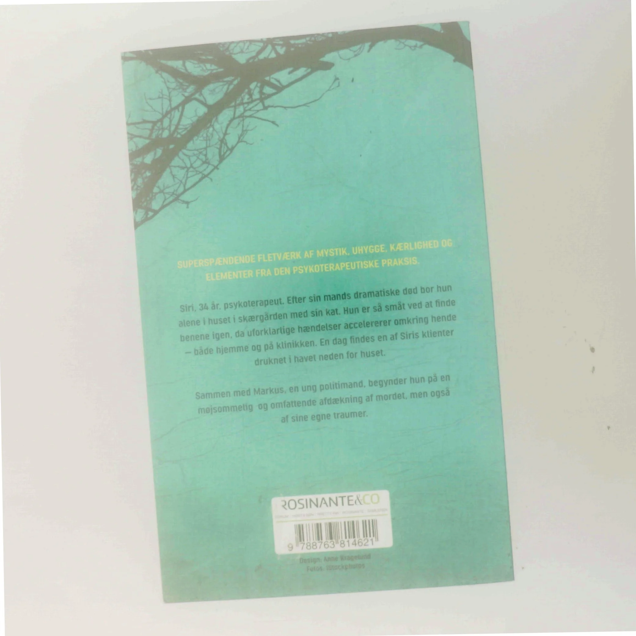 Jeg ser dig af Camilla Grebe (Bog)