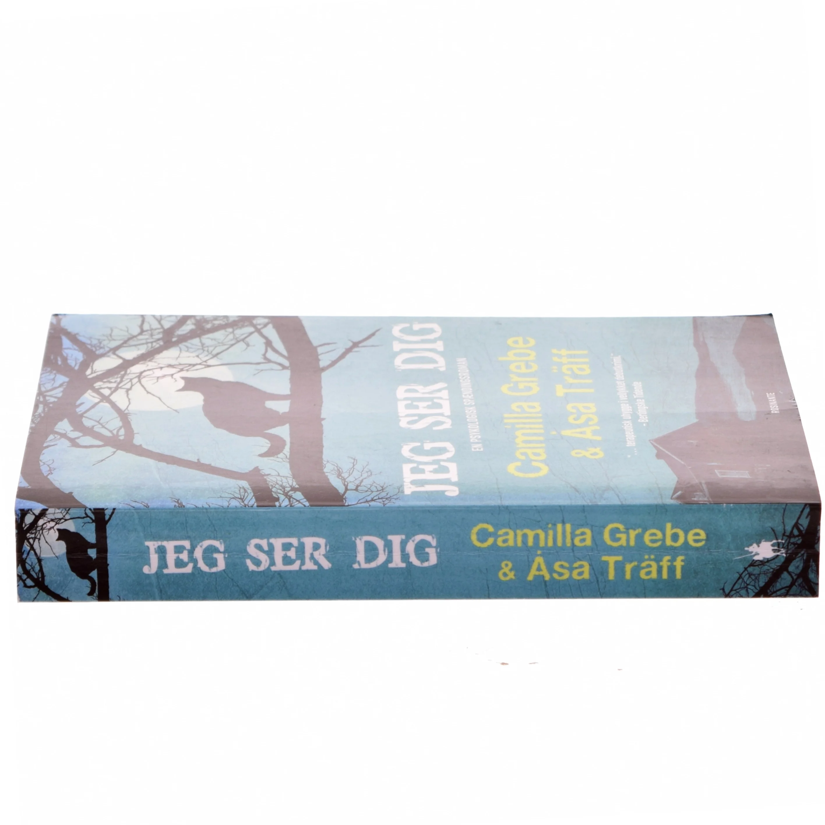 Jeg ser dig af Camilla Grebe (Bog)