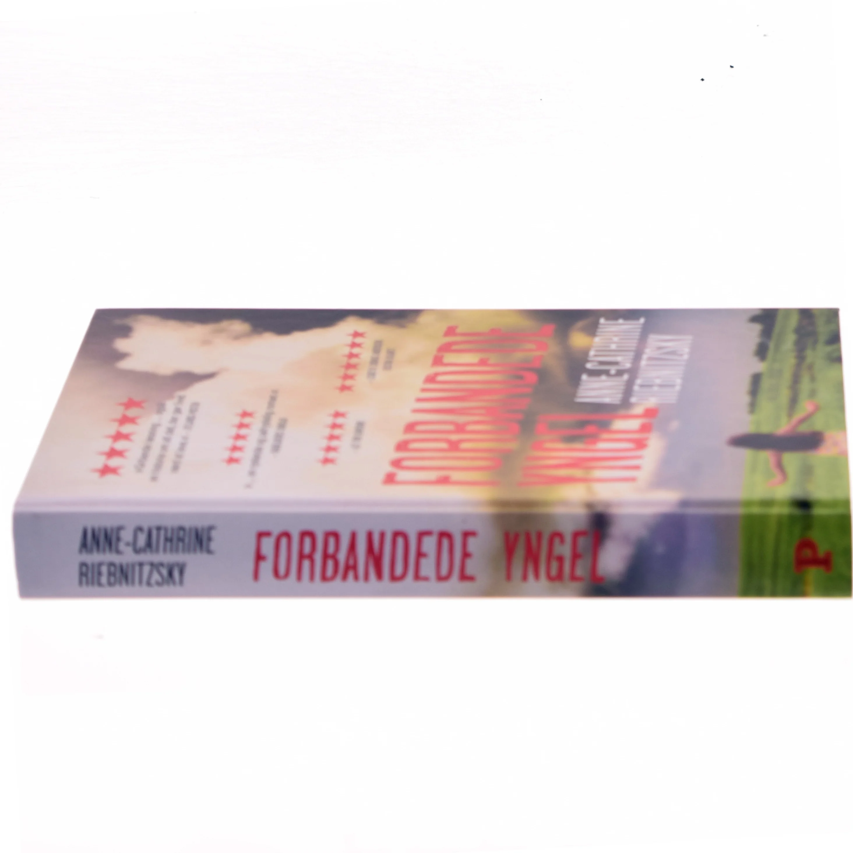 Forbandede Yngel af Anne-Cathrine Riebnitzsky (Bog)