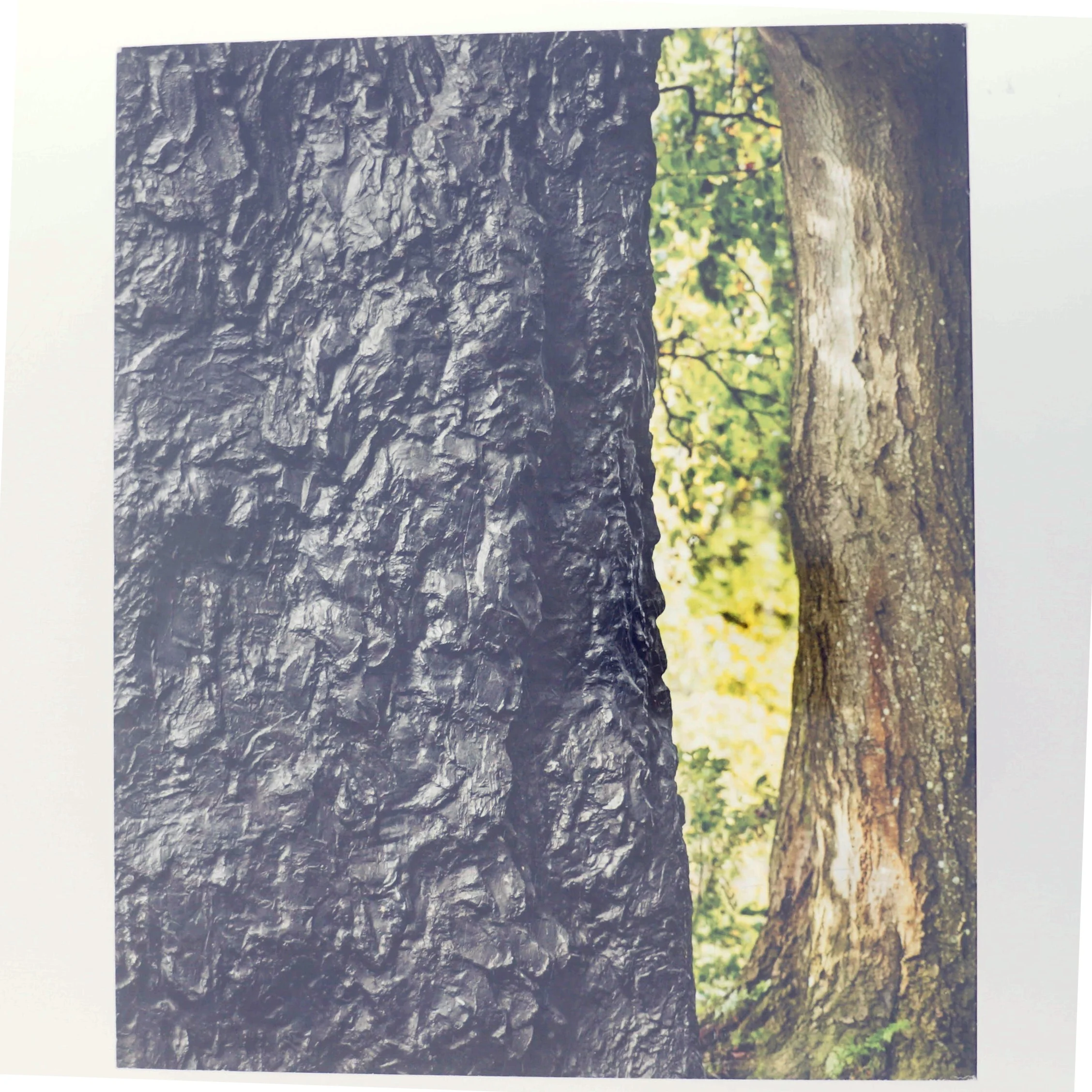 Per Kirkeby Bronze af Per Kirkeby (Bog)