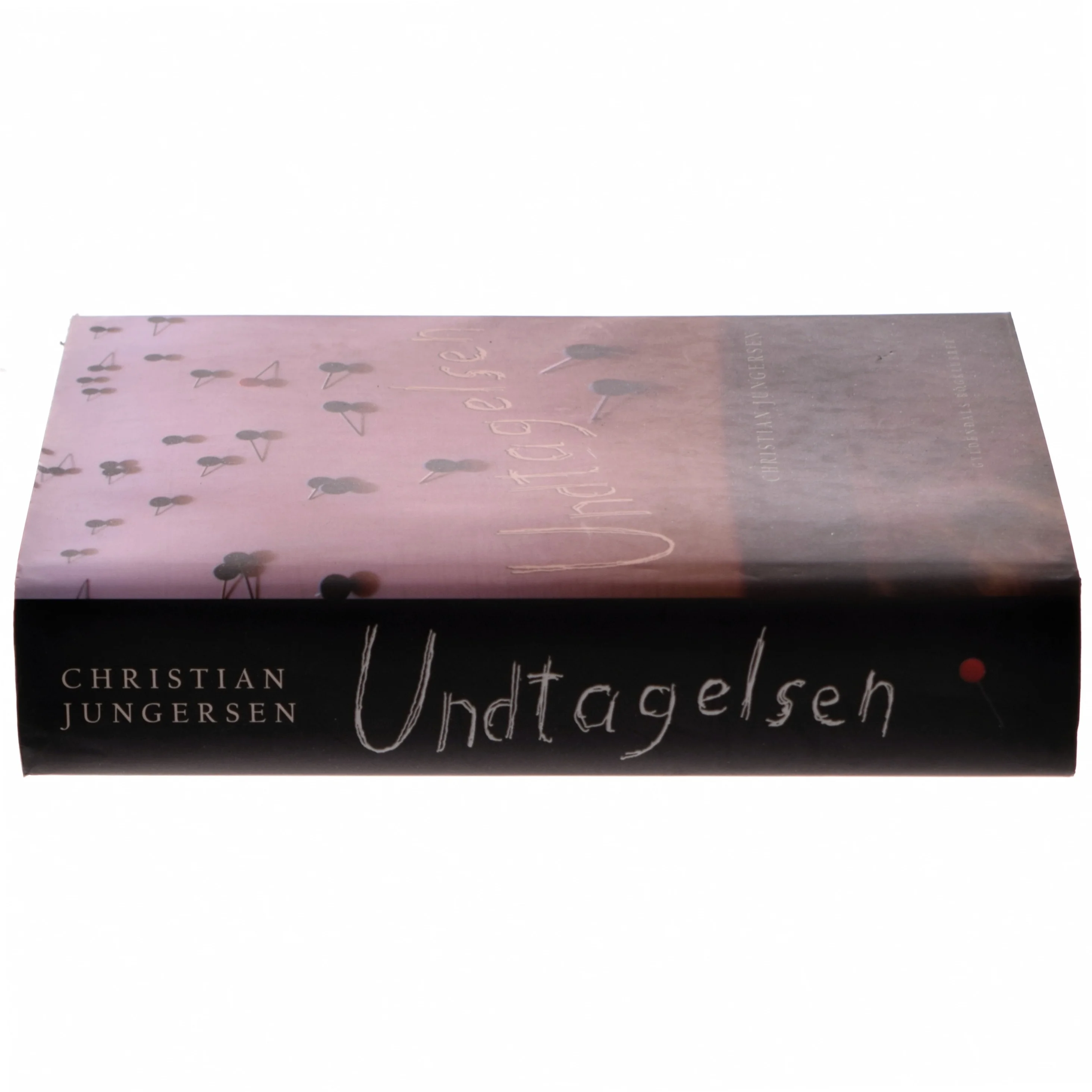 Undtagelsen : roman af Christian Jungersen (Bog)
