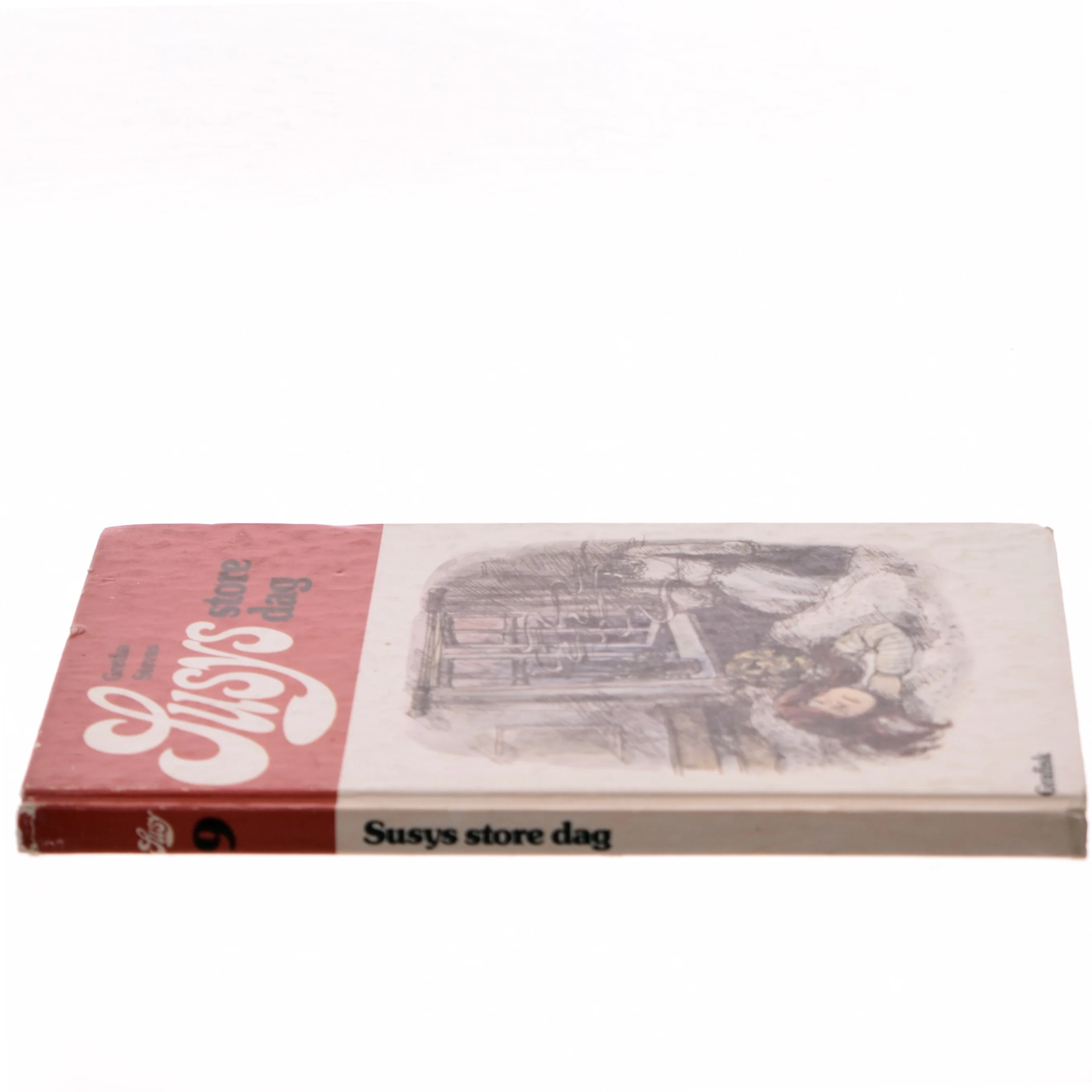 Susy bøgerne - Susys store dag