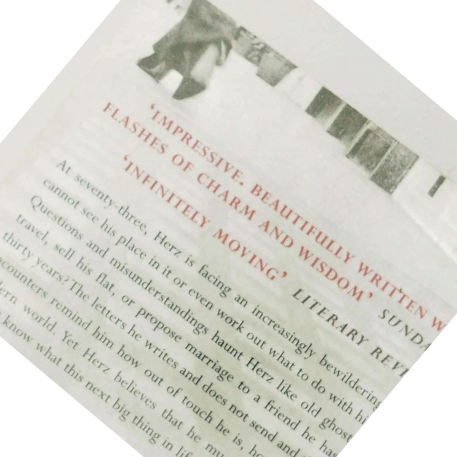 The next big thing af Anita Brookner (Bog)