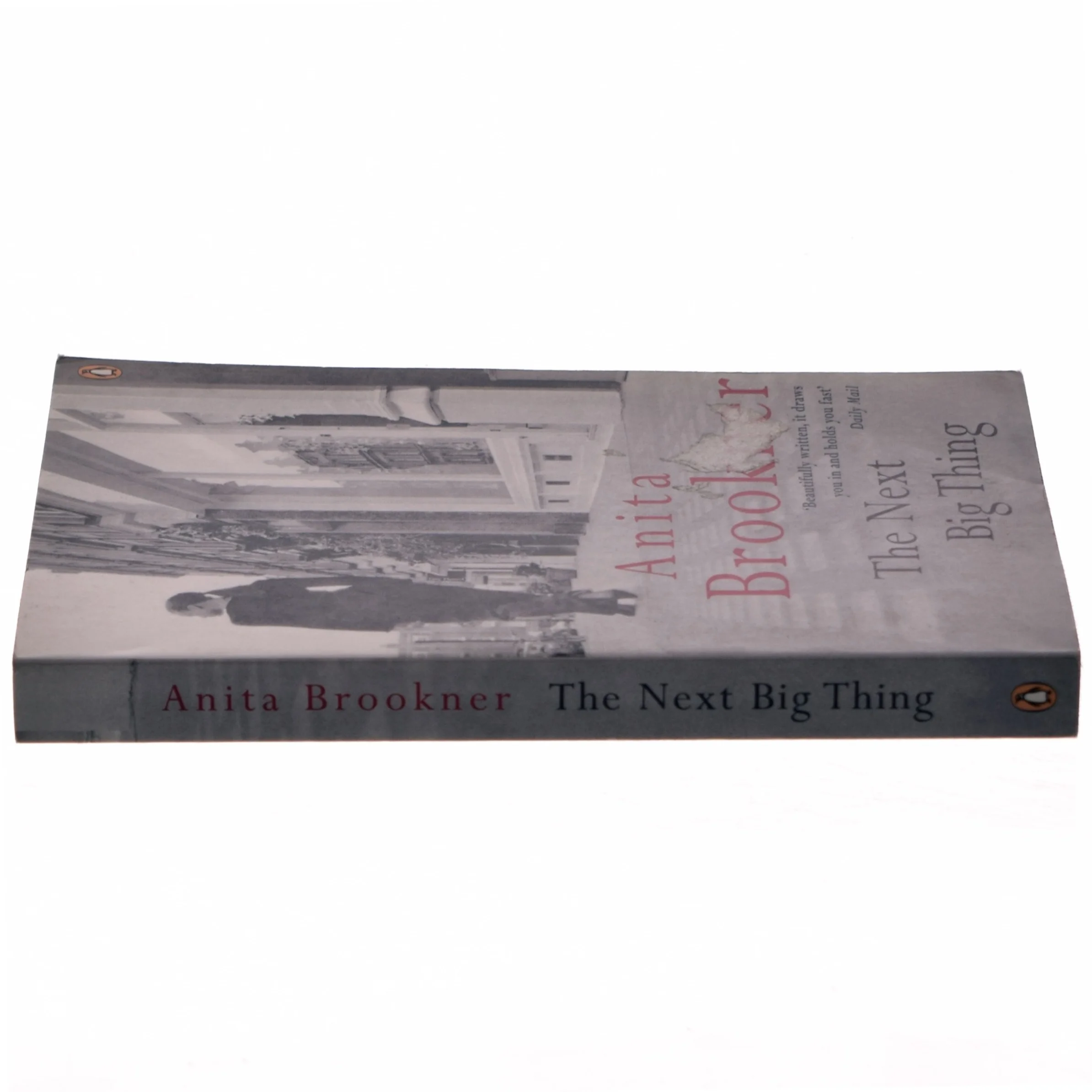 The next big thing af Anita Brookner (Bog)